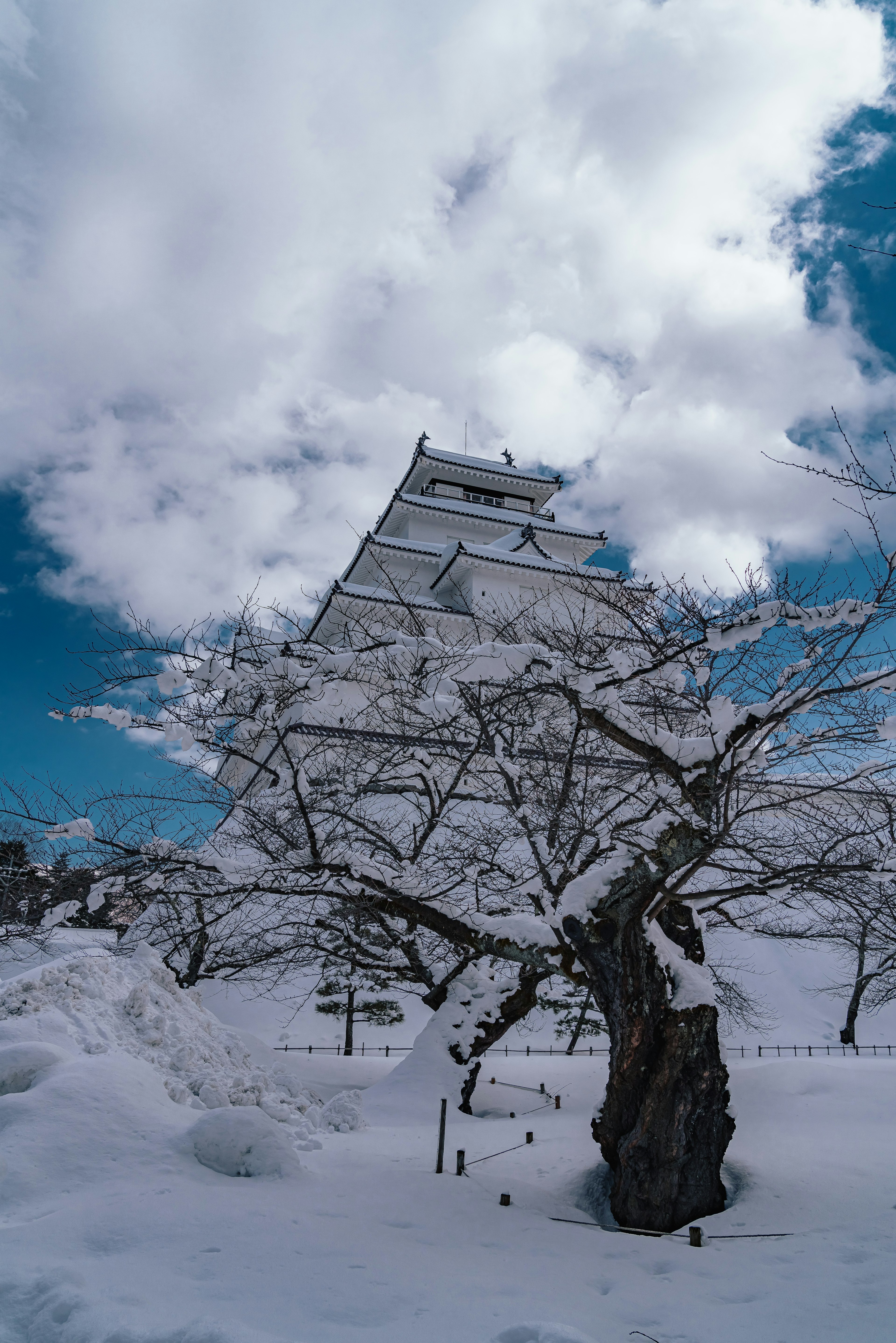 雪に覆われた木と美しい青空の背景にある城