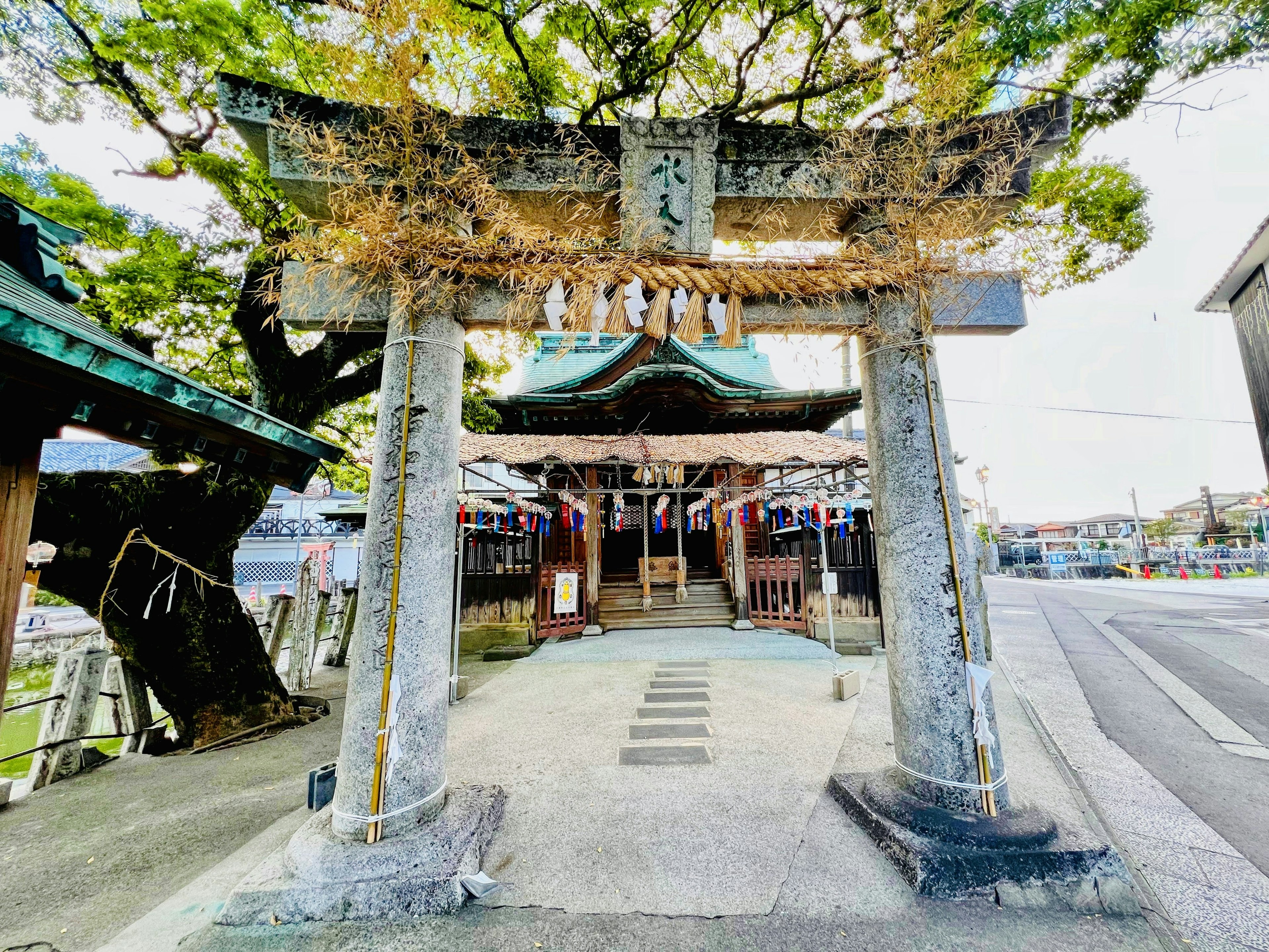 Torii gate of a shrine with surrounding trees