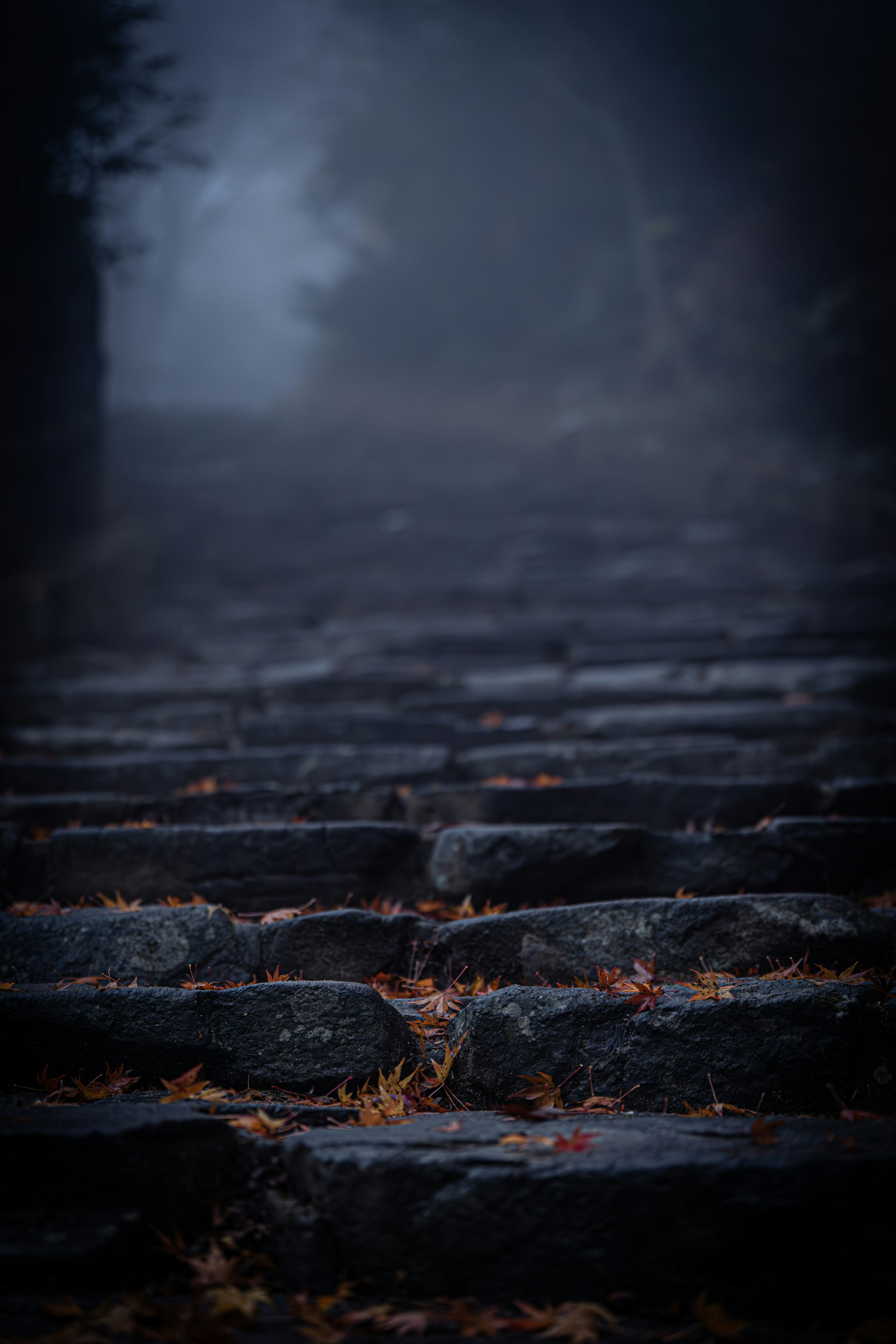 Stone steps covered in autumn leaves shrouded in mist