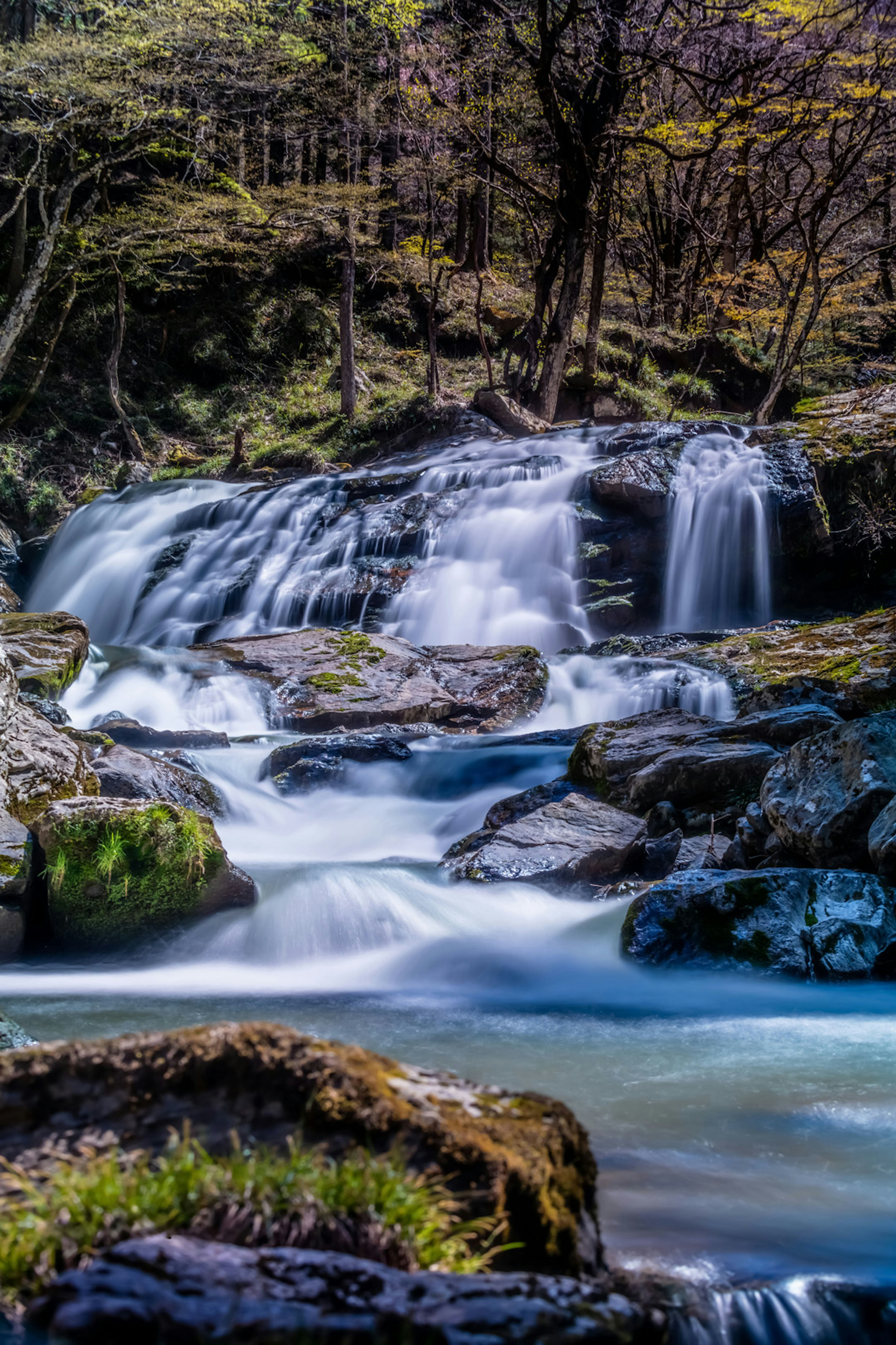 Vue pittoresque d'une belle cascade avec de l'eau qui coule des rochers moussus et des arbres