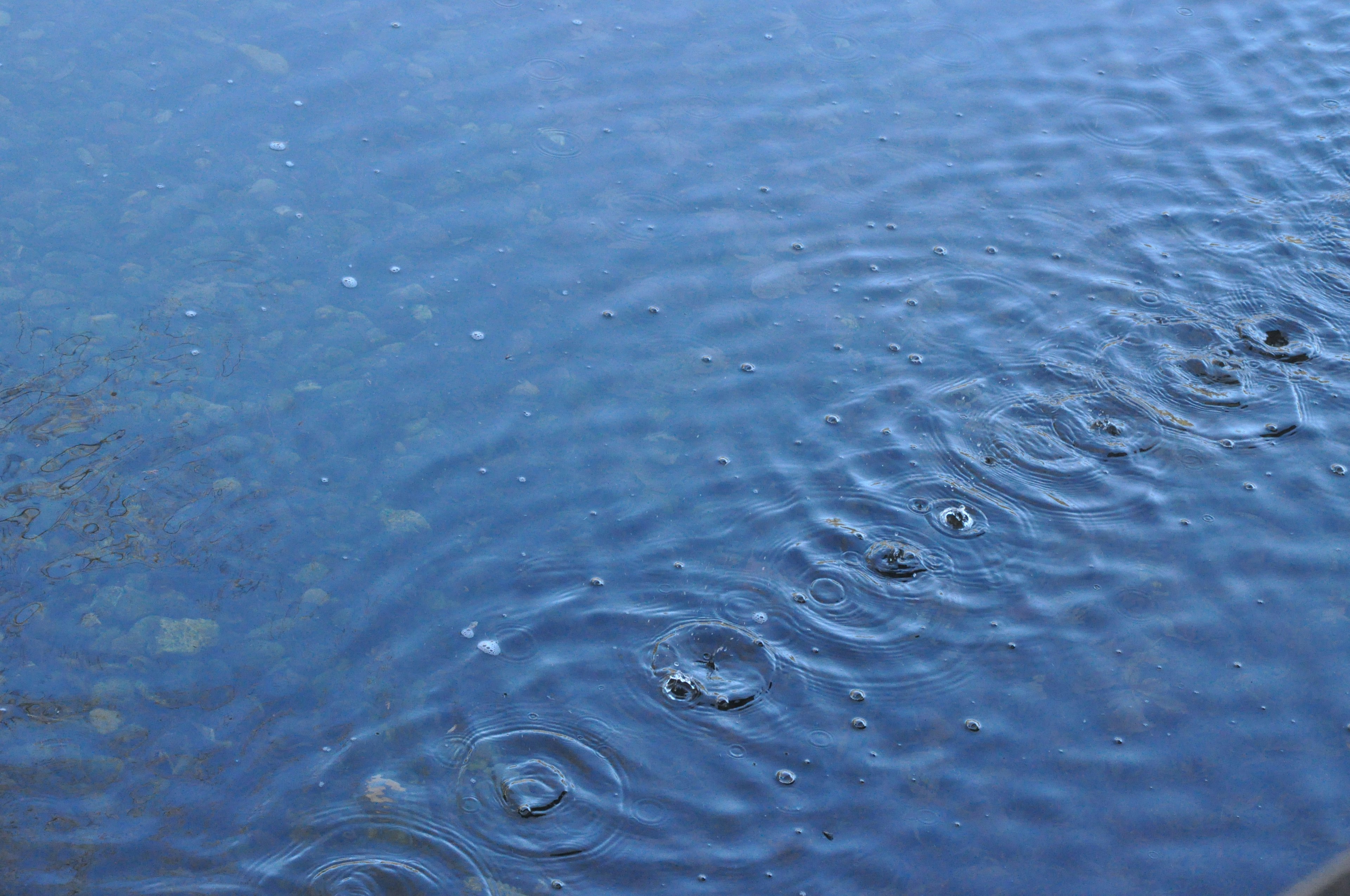 藍色水面上雨滴形成漣漪的圖像