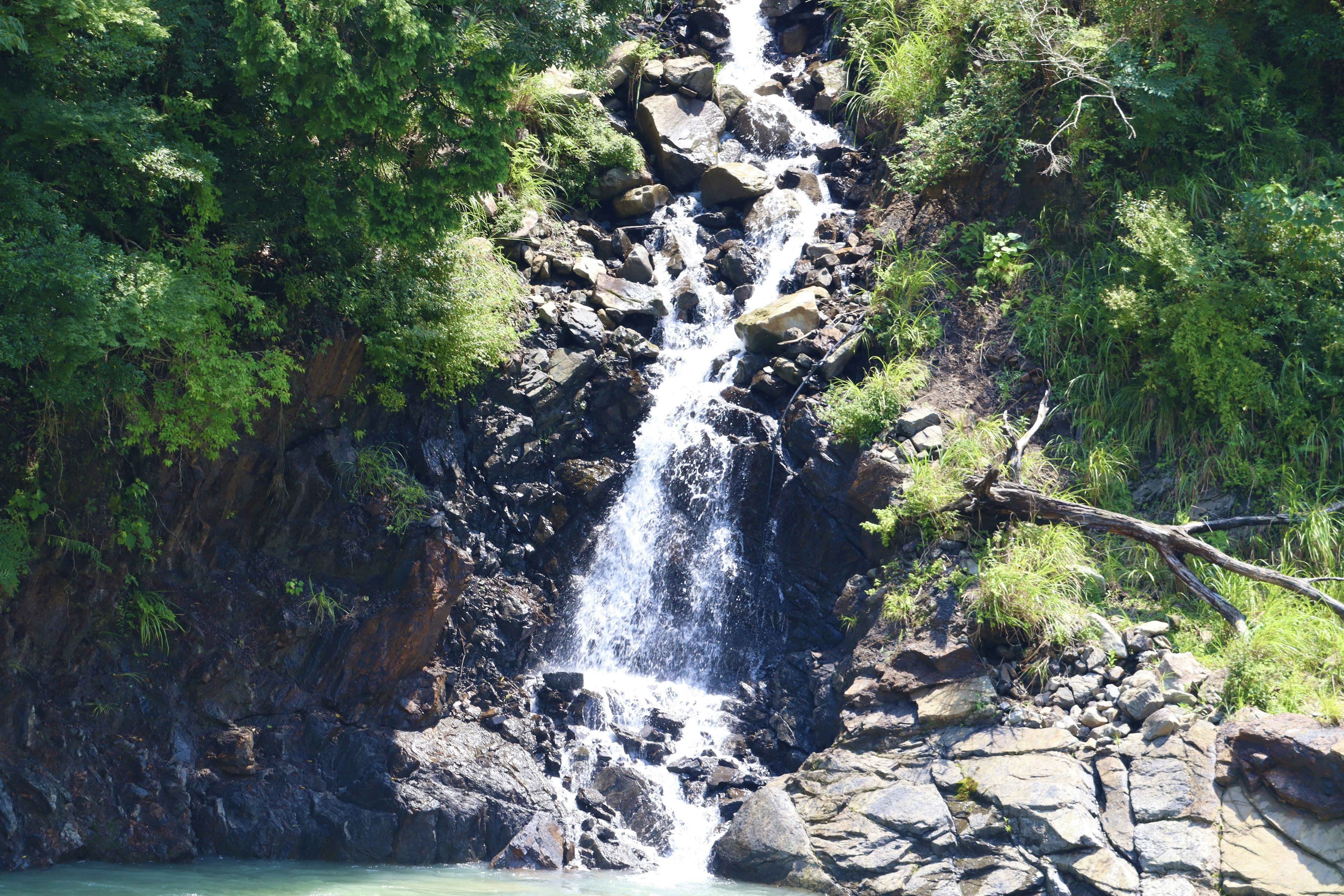 Ein schöner Wasserfall, der über Steine fließt, umgeben von üppigem Grün