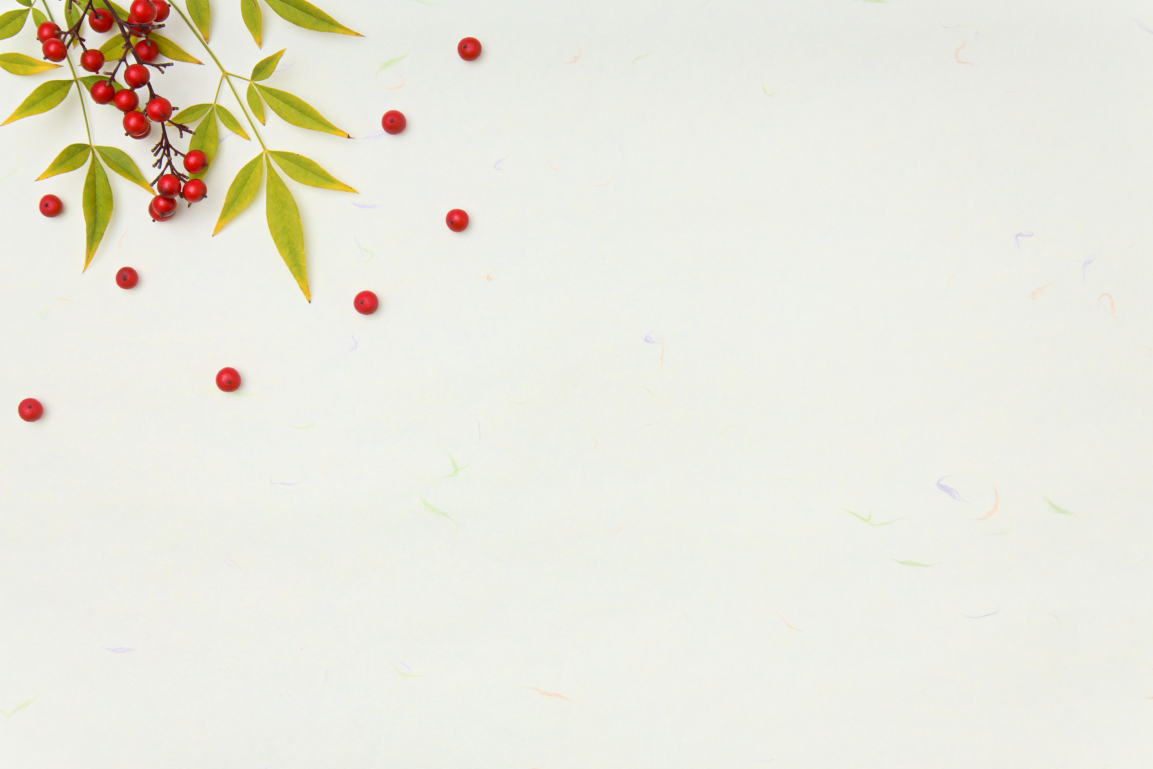 Red berries and green leaves scattered on a white background