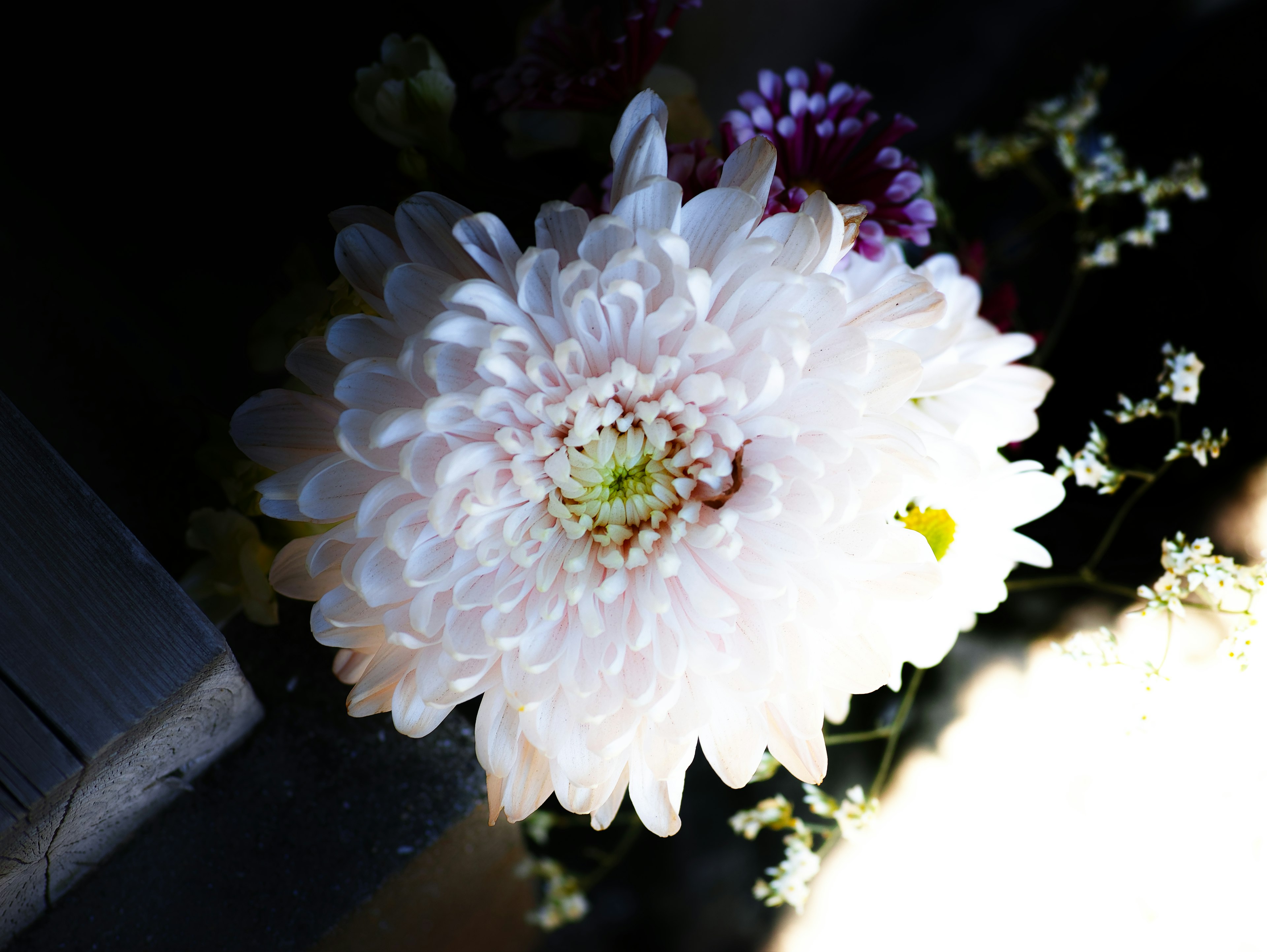 白い花と小さな花々が背景にある静かなシーン