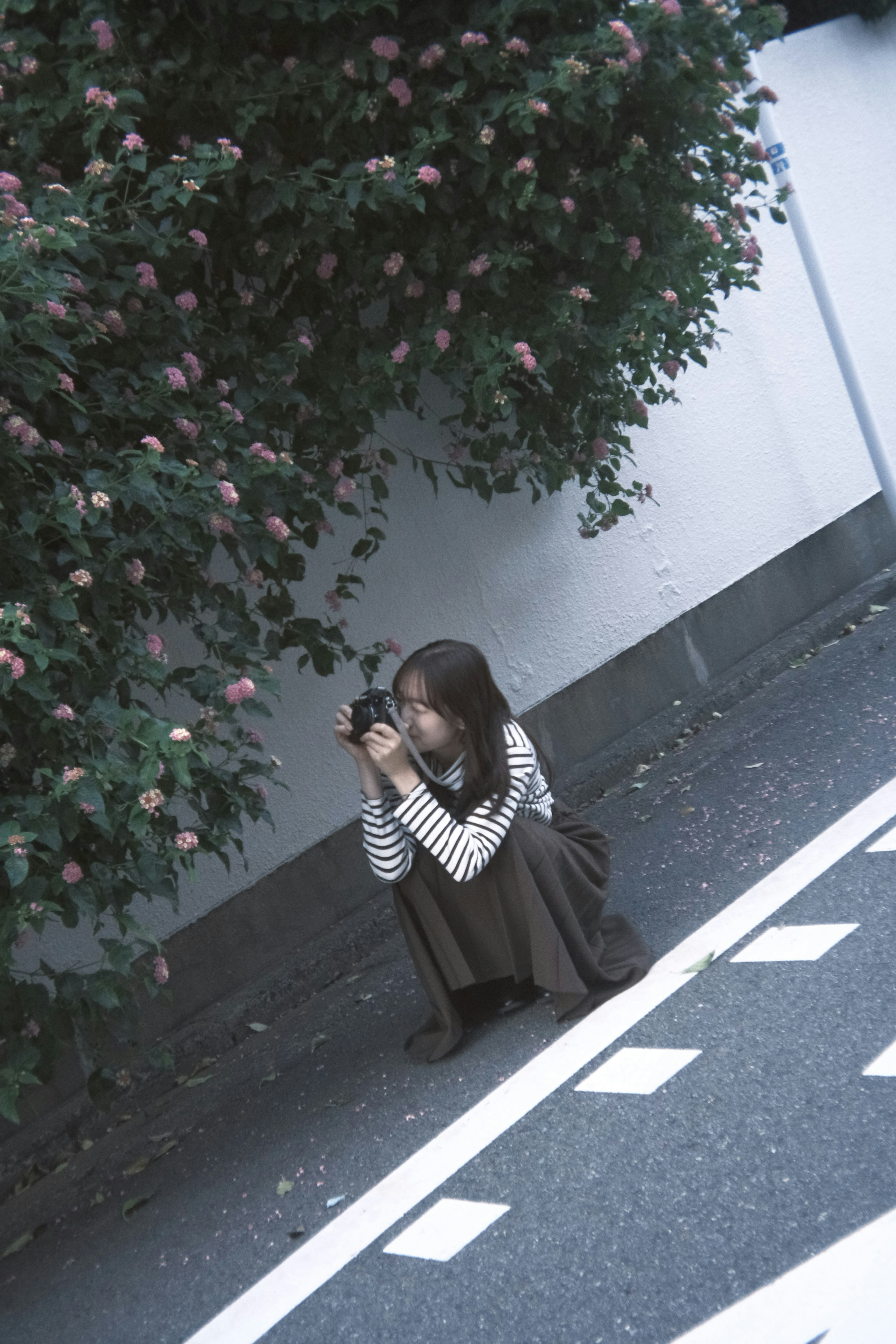 A woman crouching with a camera in front of a flowering bush