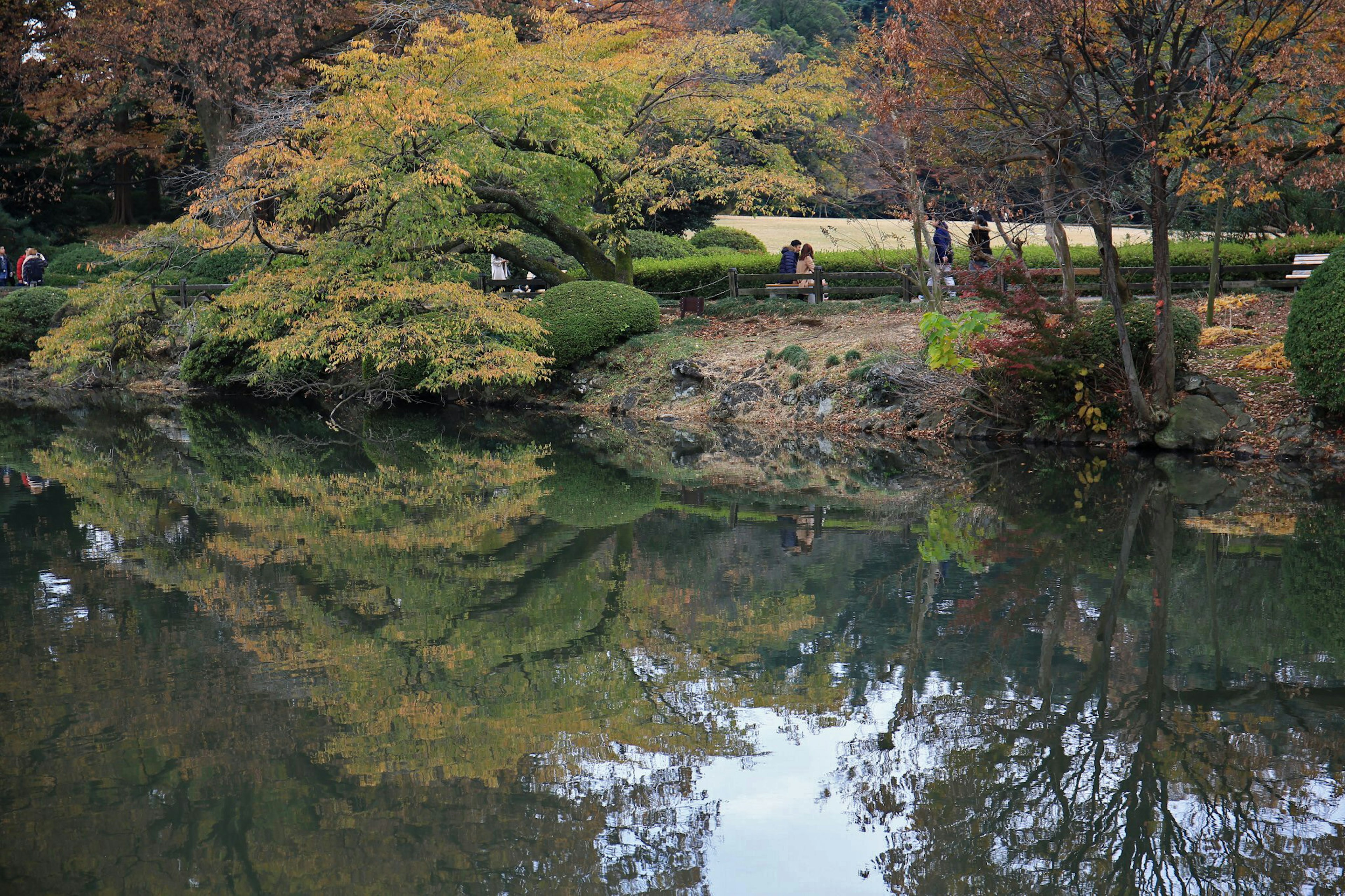 寧靜的公園場景，秋天的樹葉倒映在平靜的池塘中