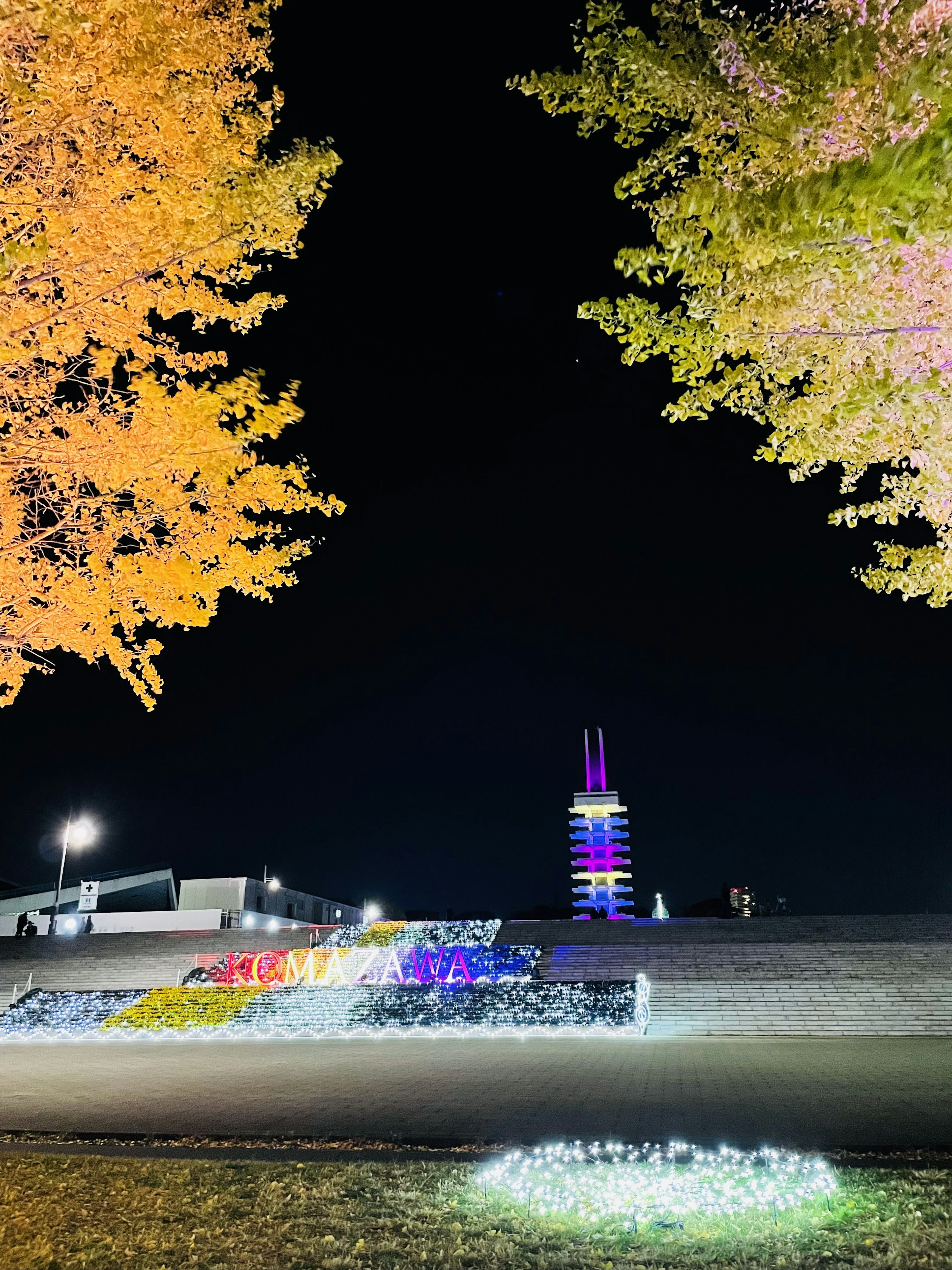 노란 나무가 있는 밤의 공원에 있는 다채로운 조명이 있는 탑