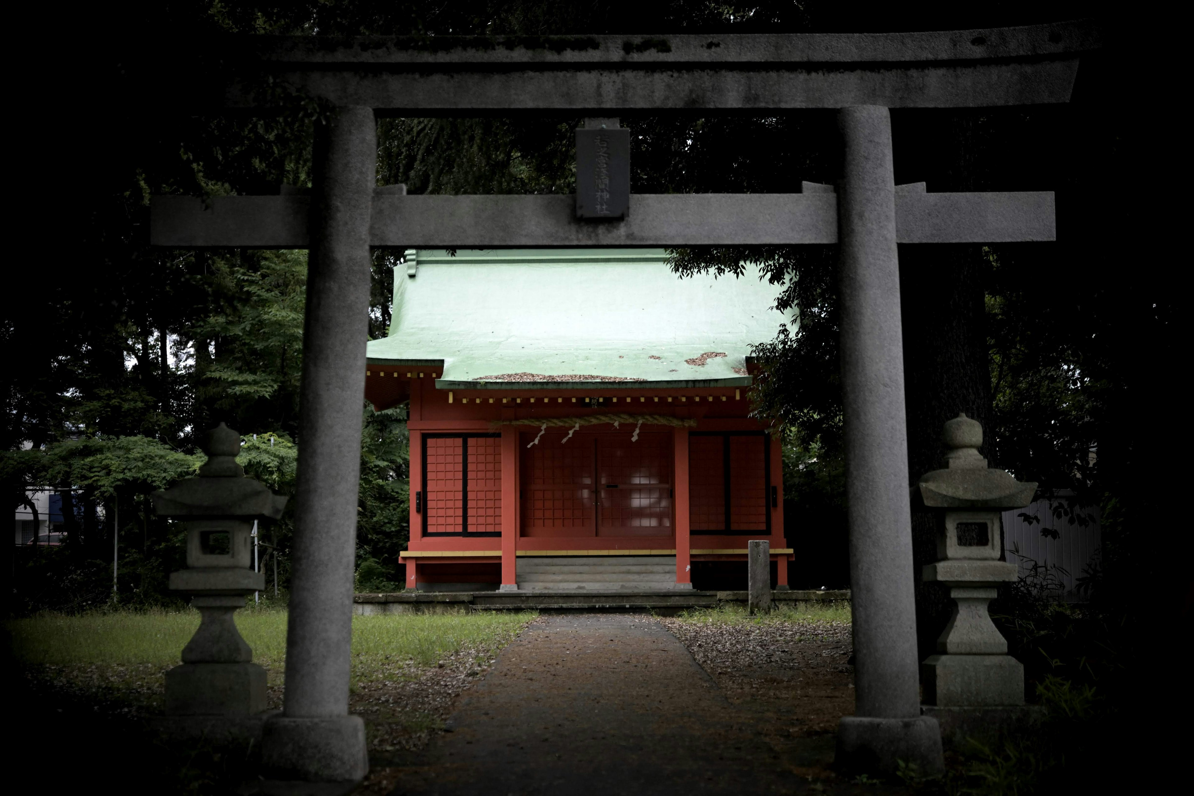 在鸟居之间可见的红色神社建筑的宁静景观