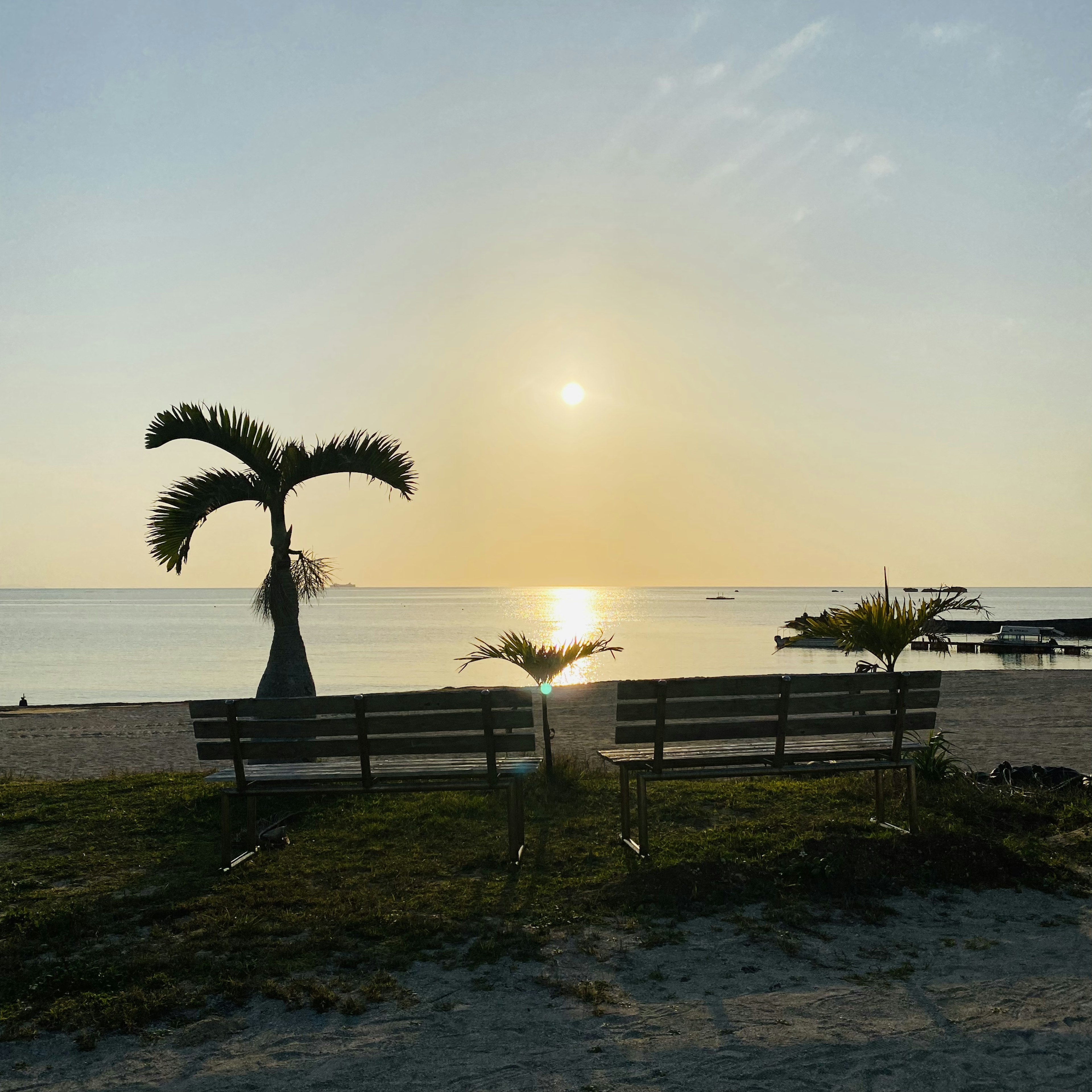 ビーチに並ぶベンチと夕日を背景にしたパームツリー