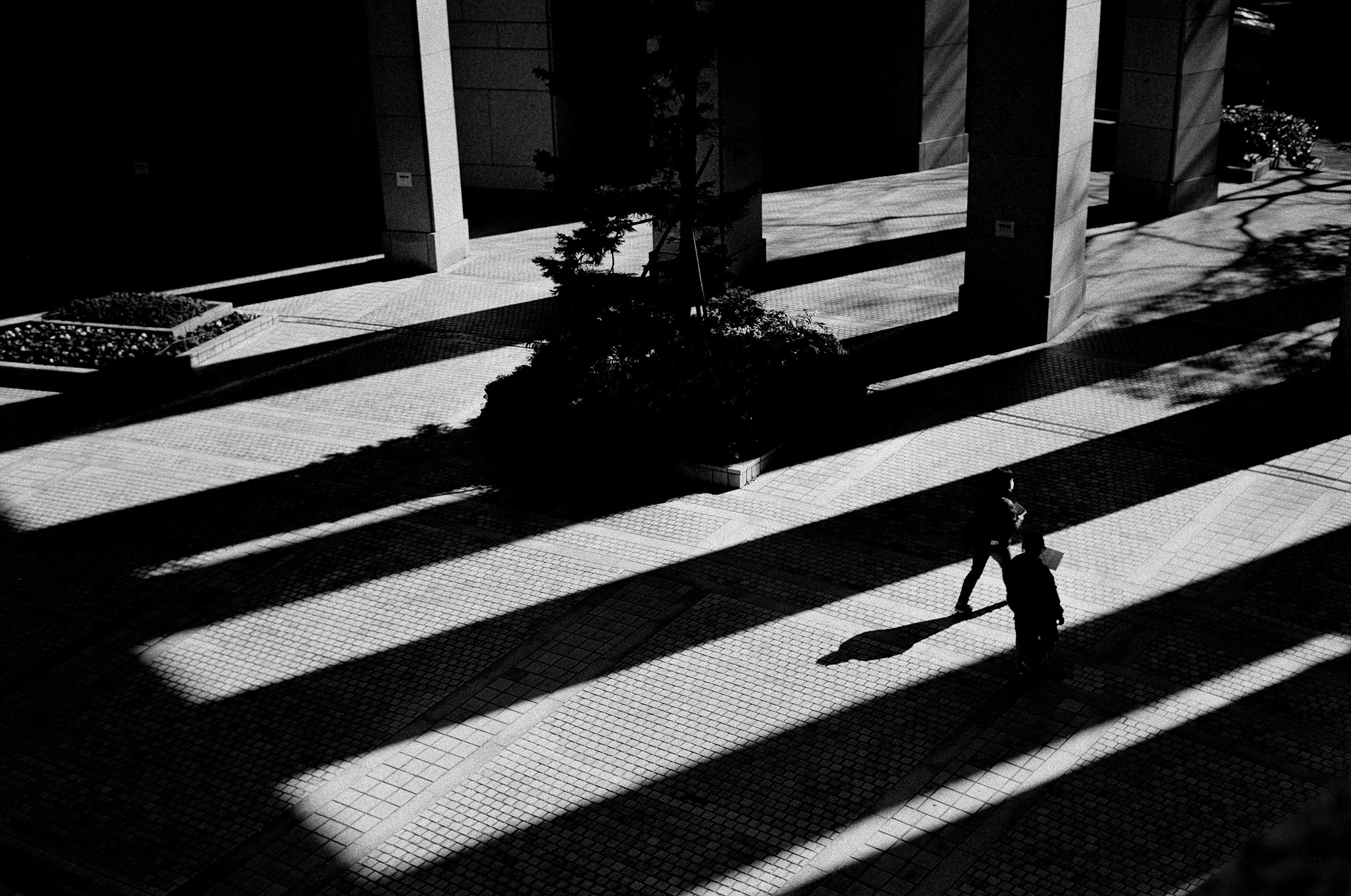 Black and white photo featuring strong contrasts with striped shadows on the ground and a person sweeping