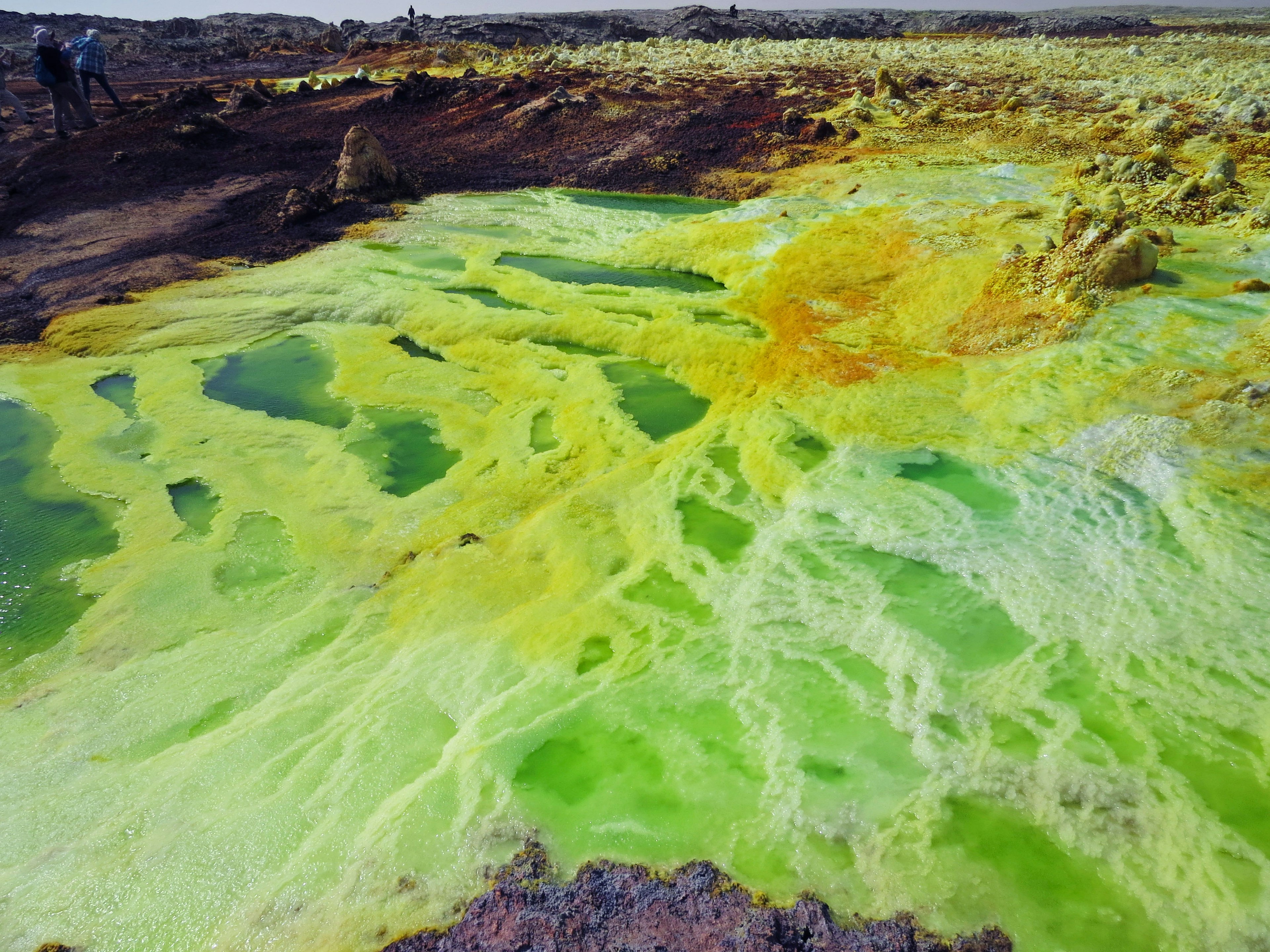 Bassin géothermique aux couleurs vives jaune et vert avec des dépôts minéraux