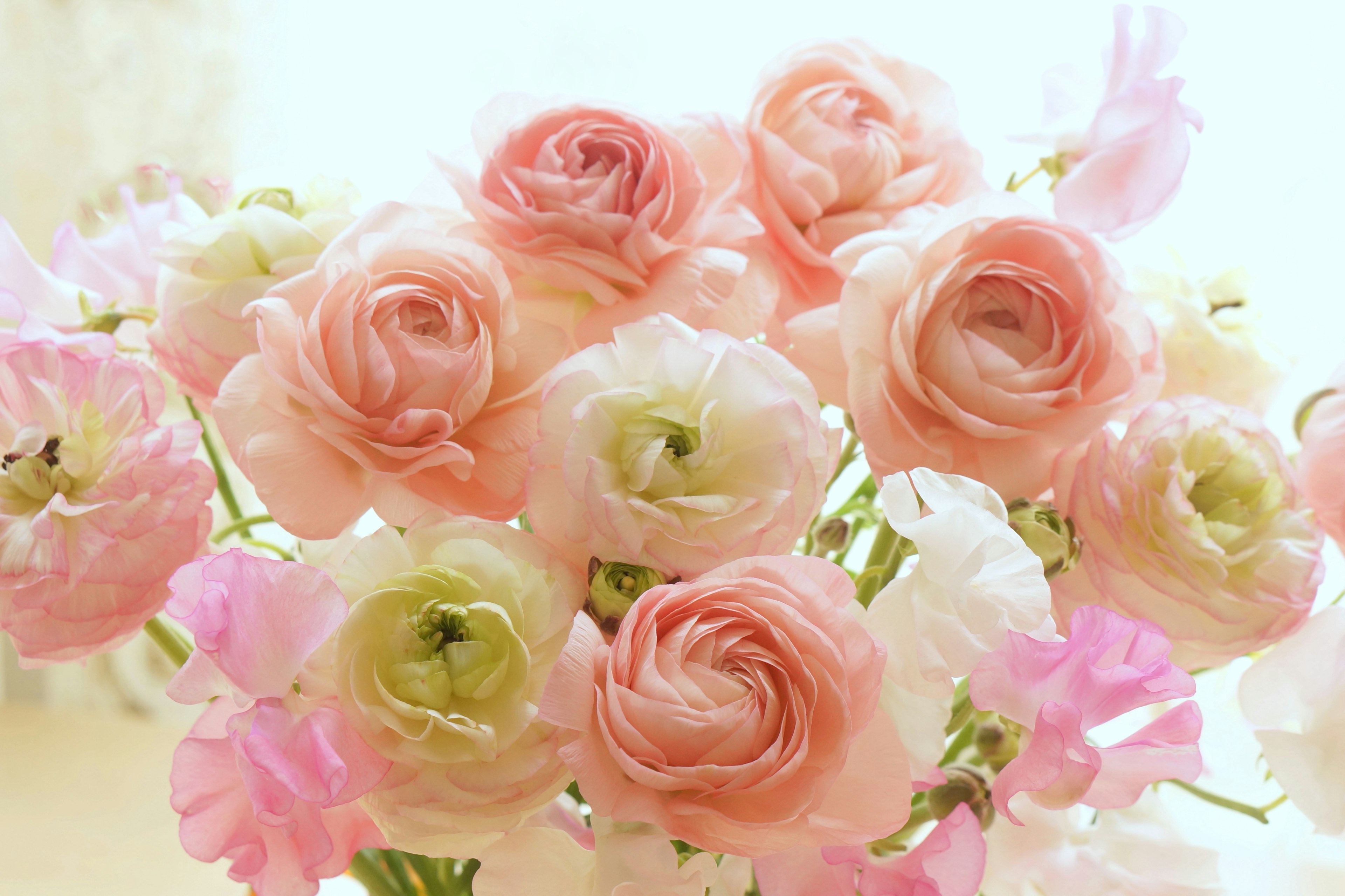 A bouquet of soft pink and white flowers against a bright background