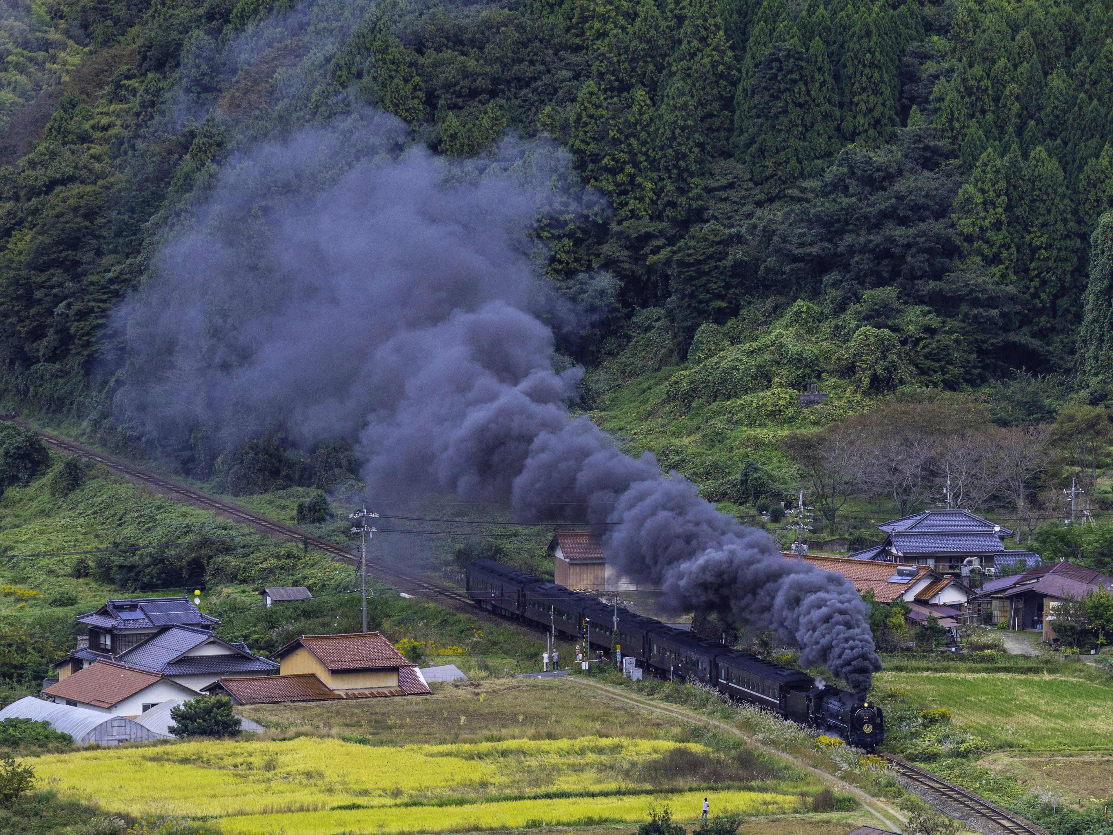 蒸気機関車が煙を上げながら緑の山々を背景に走る風景