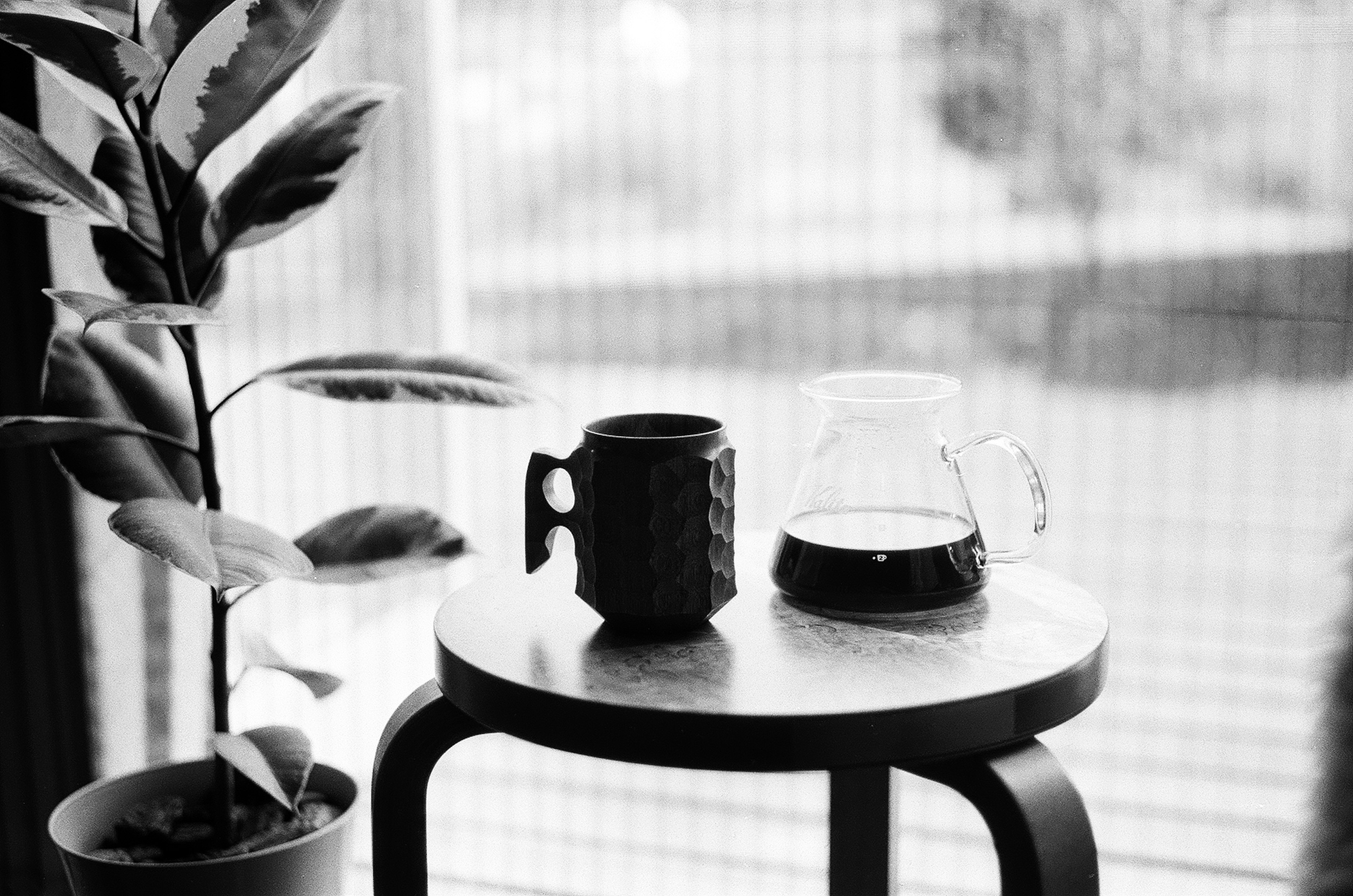 Imagen en blanco y negro de una taza de café y una jarra sobre una mesa con una planta cercana