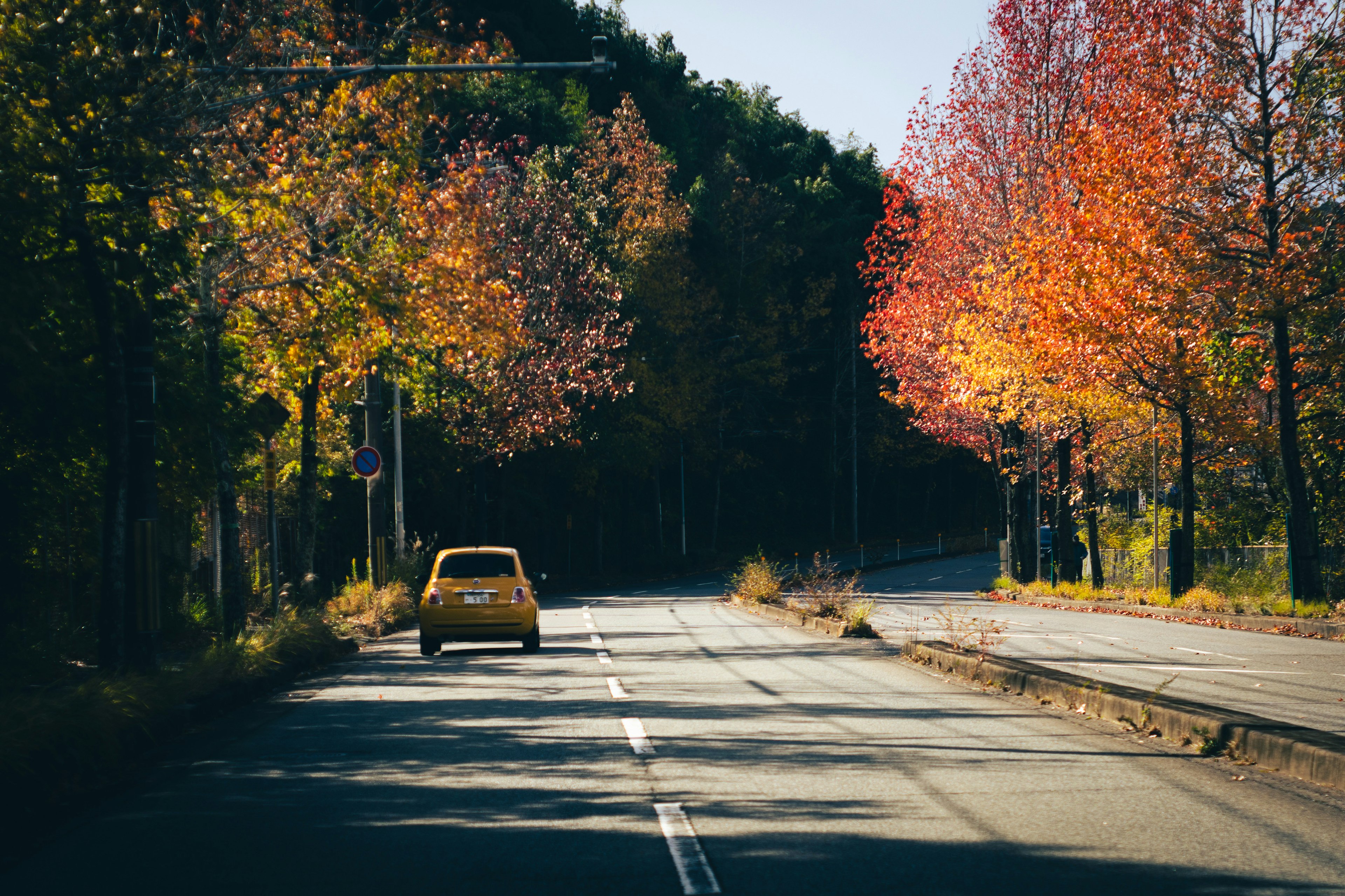 Gelbes Auto fährt auf einer Straße, umgeben von bunten Herbstbäumen