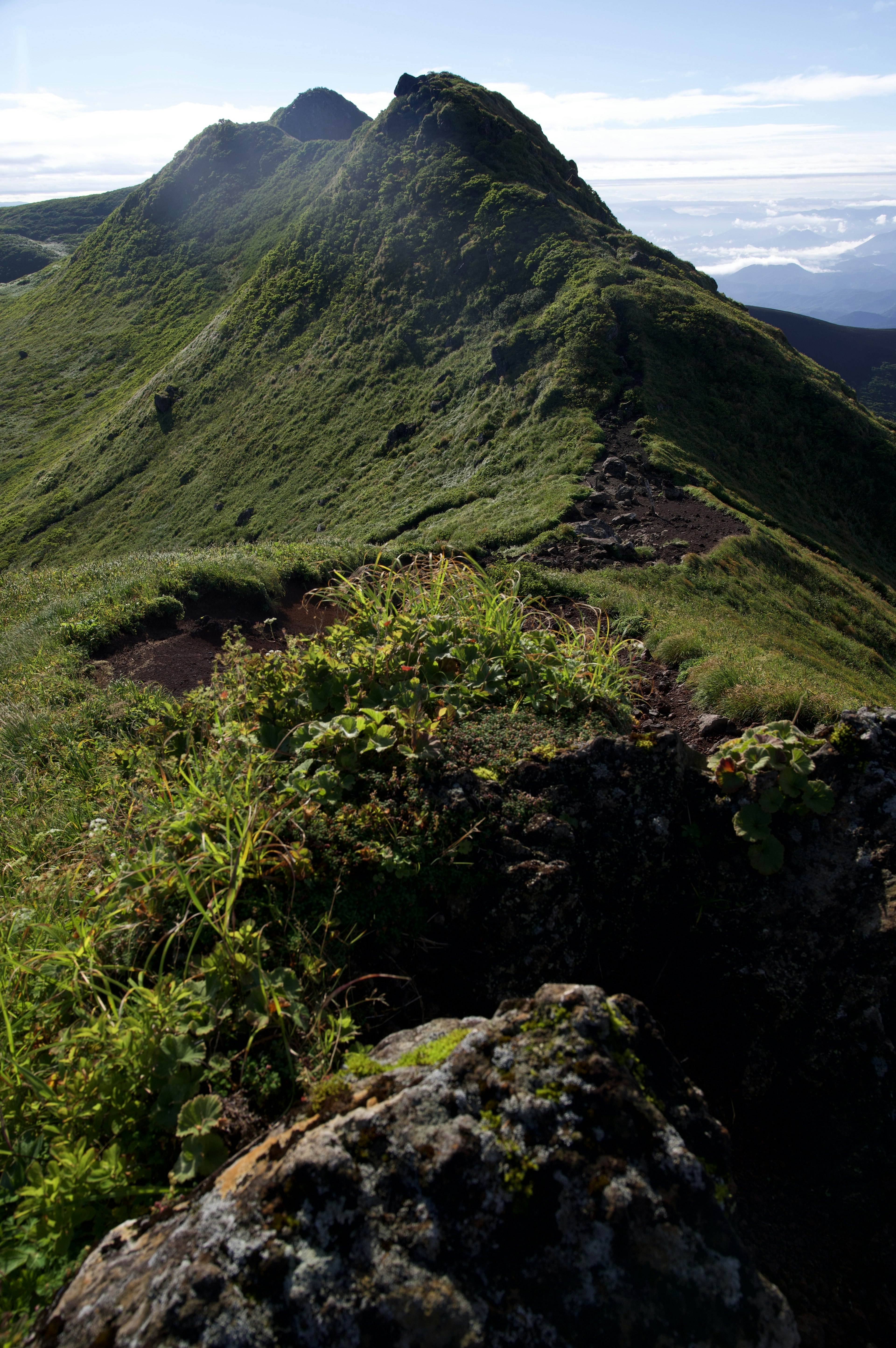 绿意盎然的山丘和远处山峰轮廓的山脉风景