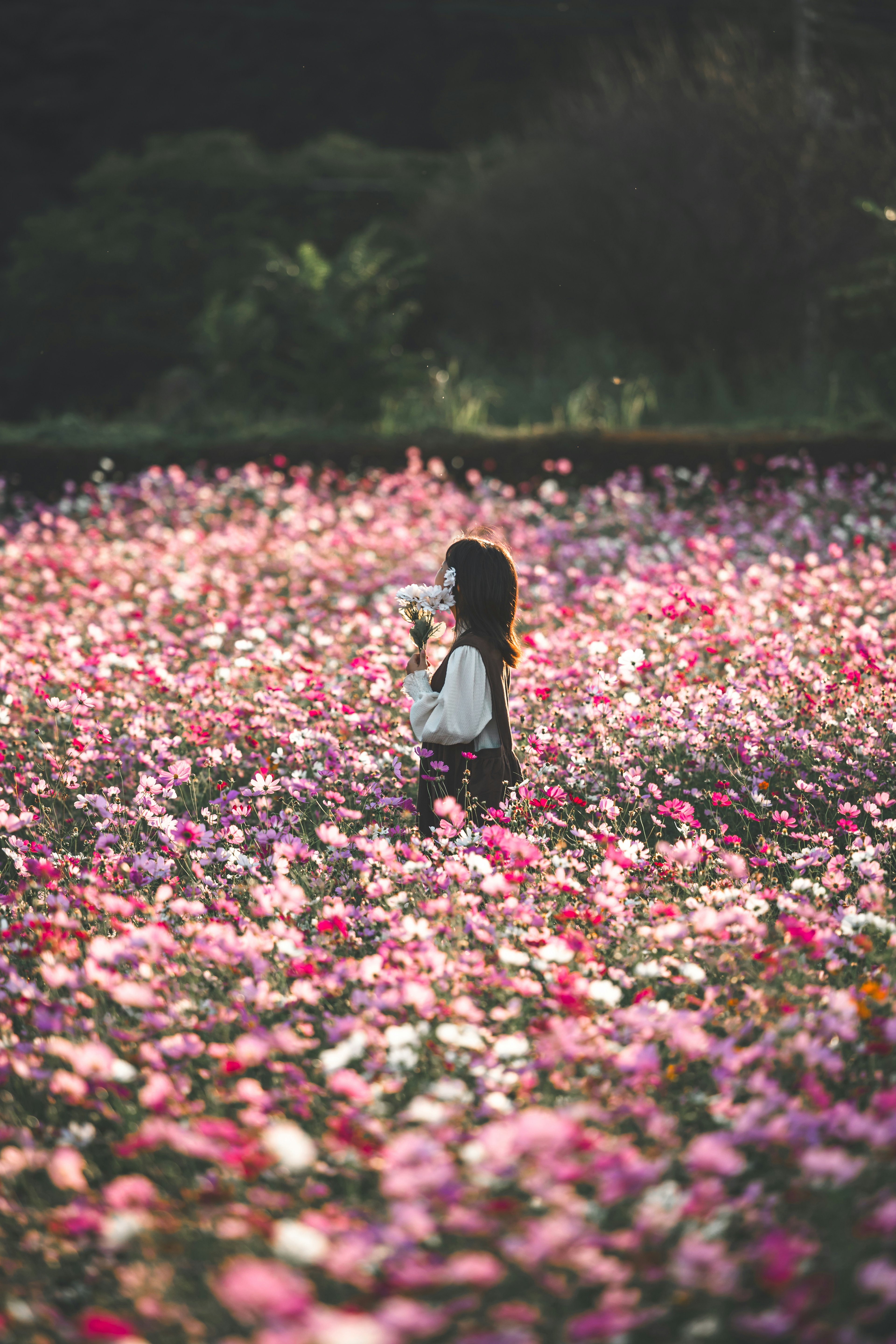 色とりどりの花に囲まれた女性のシルエット