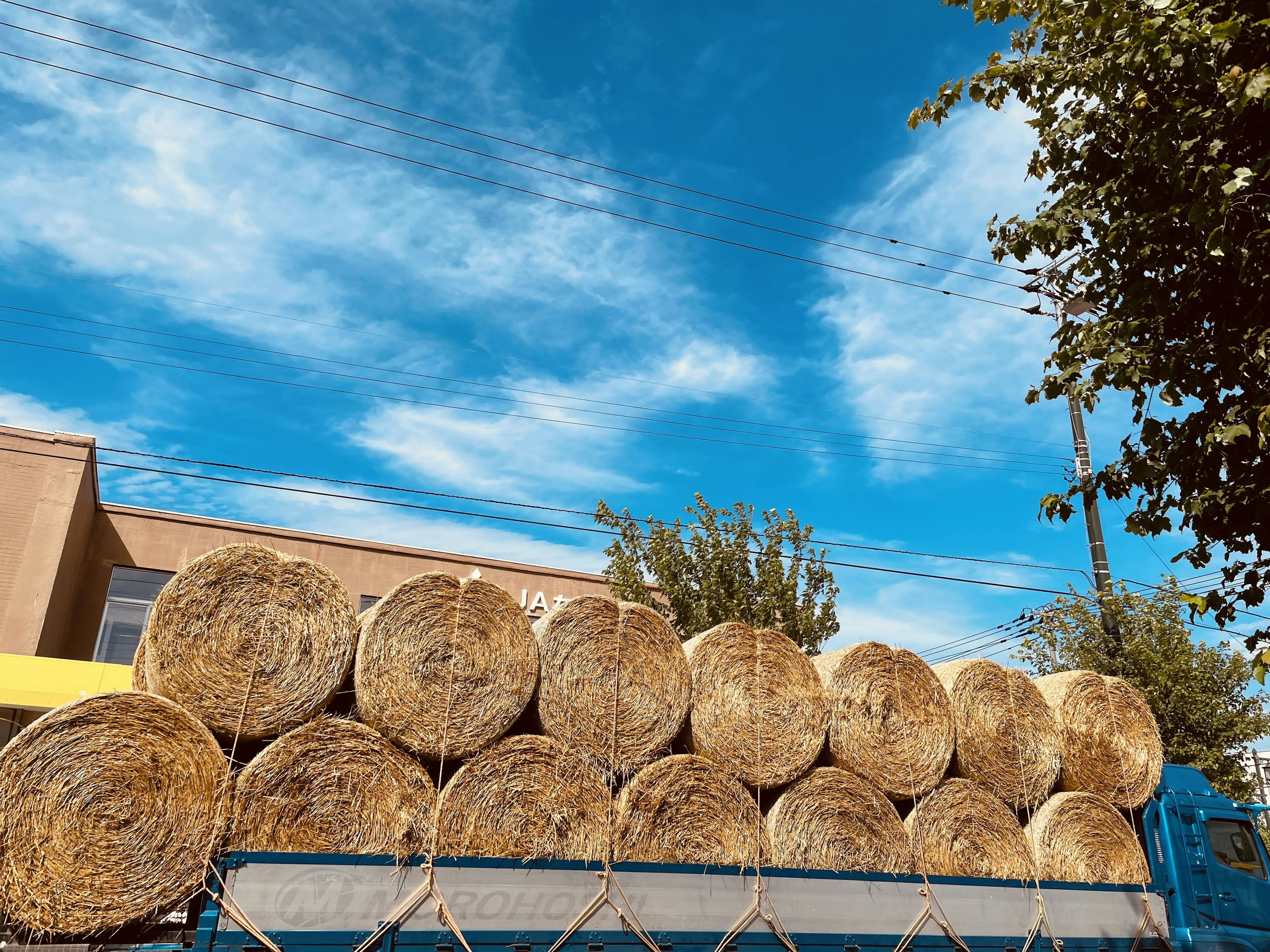 Round bales of hay stacked under a blue sky