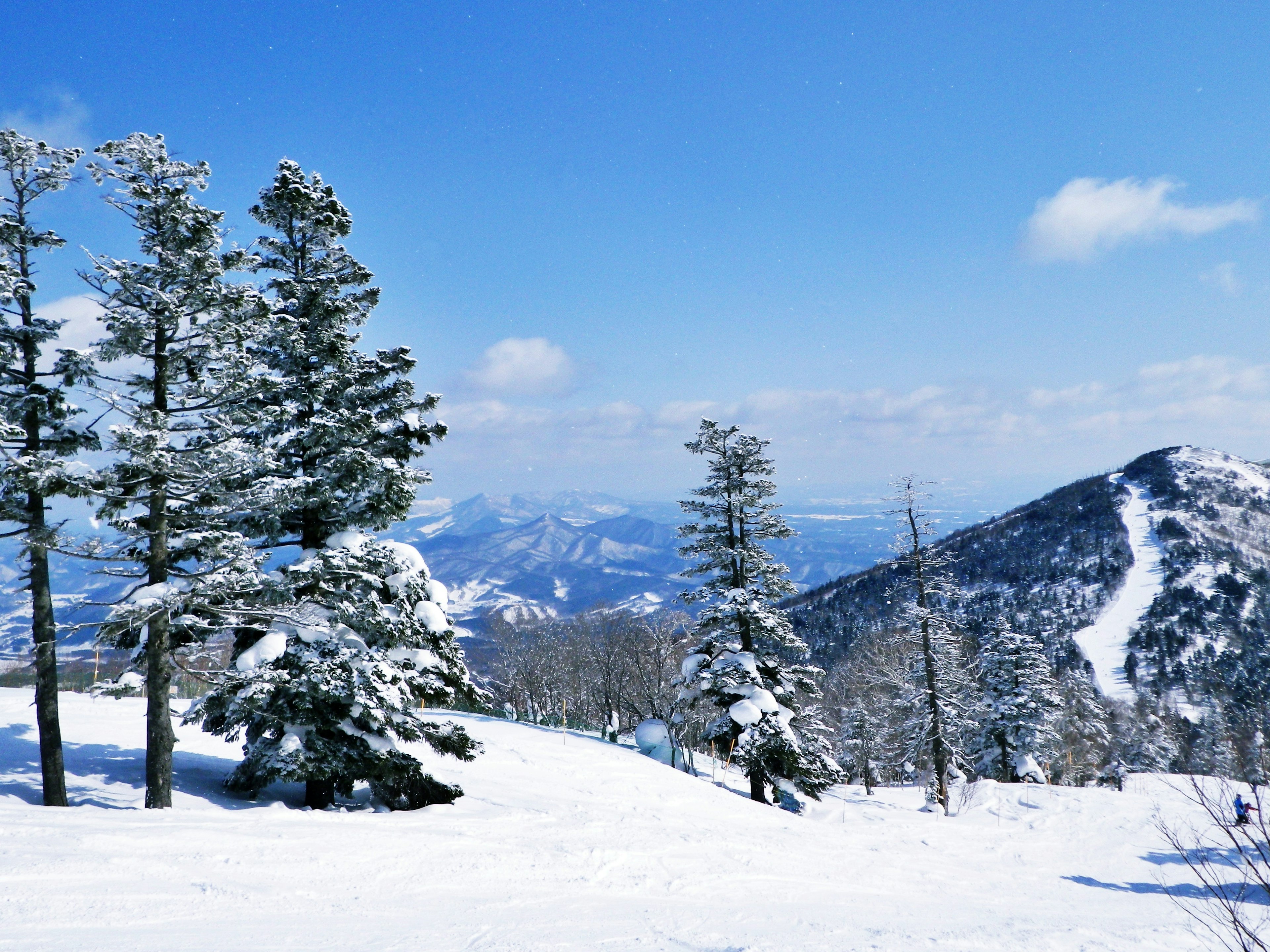 Montagne innevate con cielo blu e alberi sempreverdi