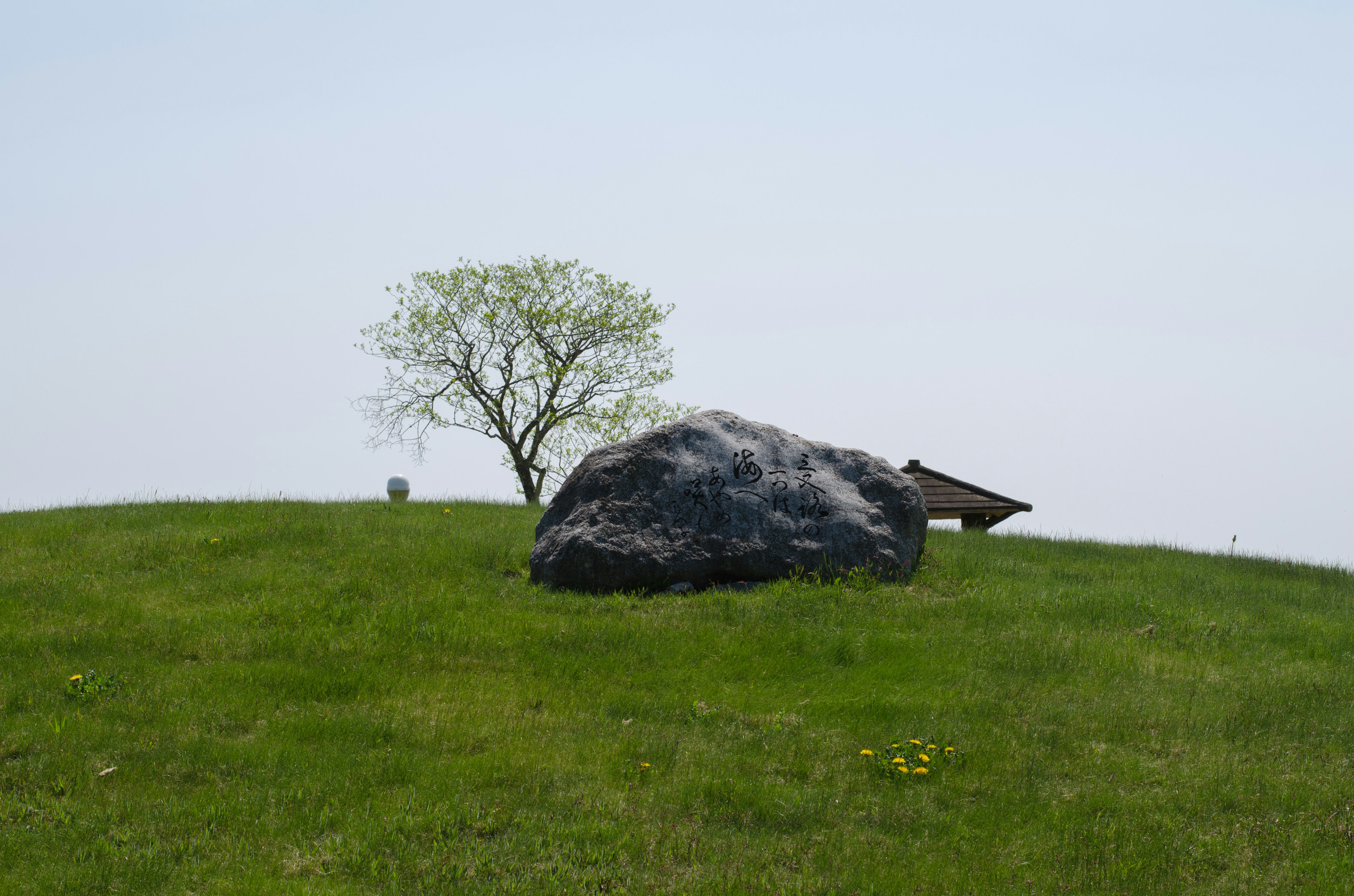 Großer schwarzer Stein auf einem grünen Hügel mit einem kleinen Baum