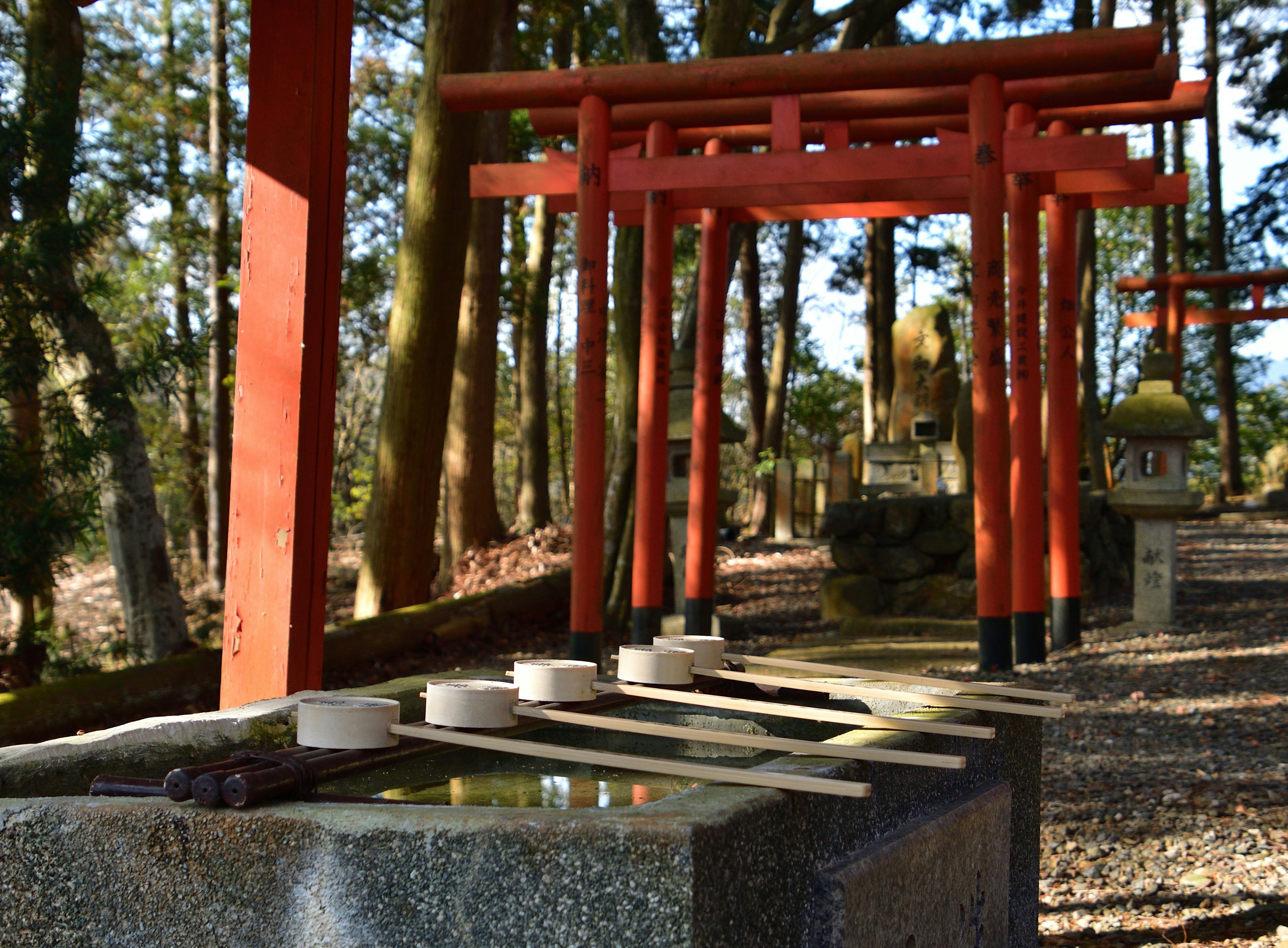 A serene shrine scene featuring red torii gates and a water basin