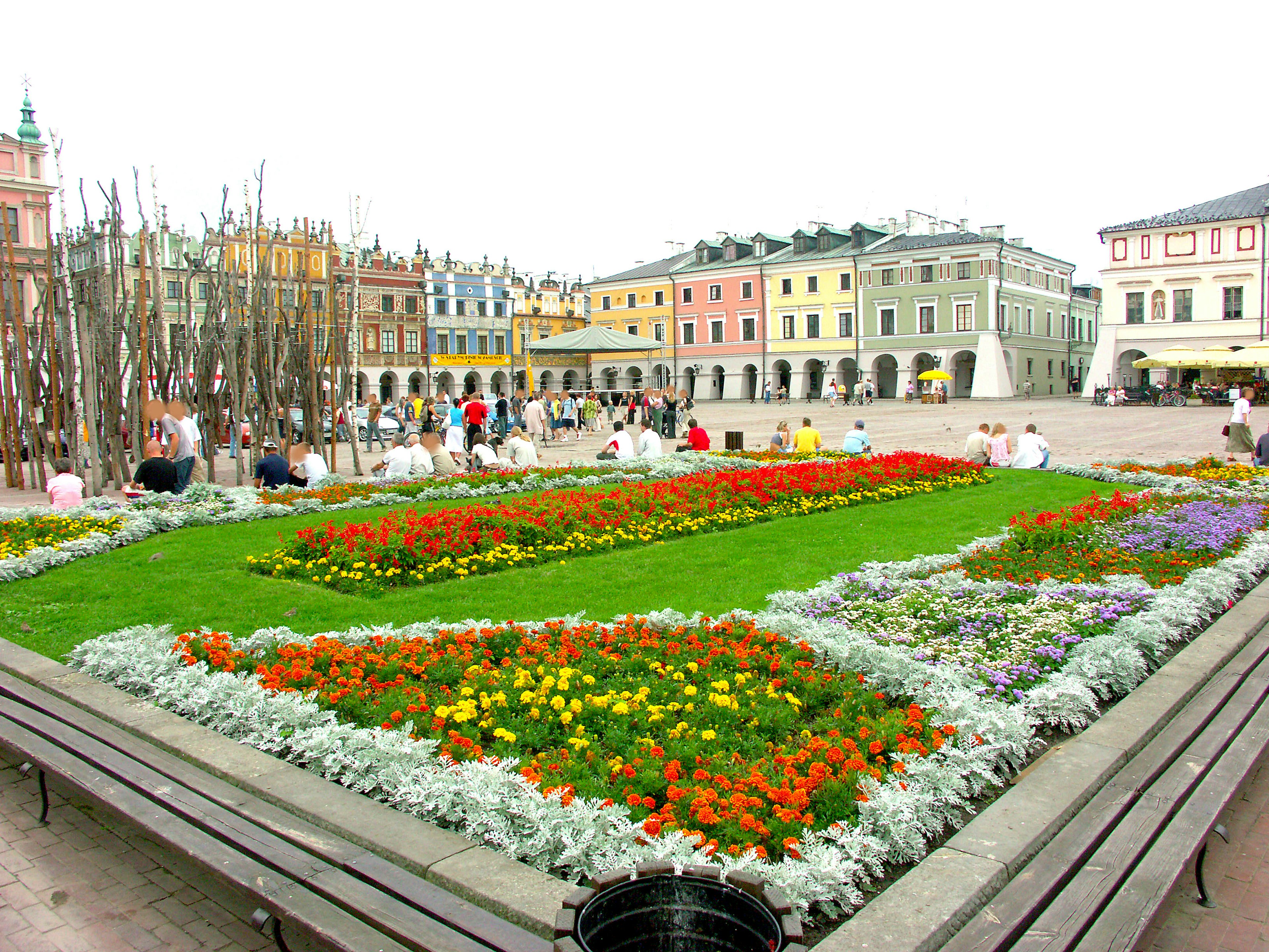 Colorful flower bed in a park with surrounding buildings