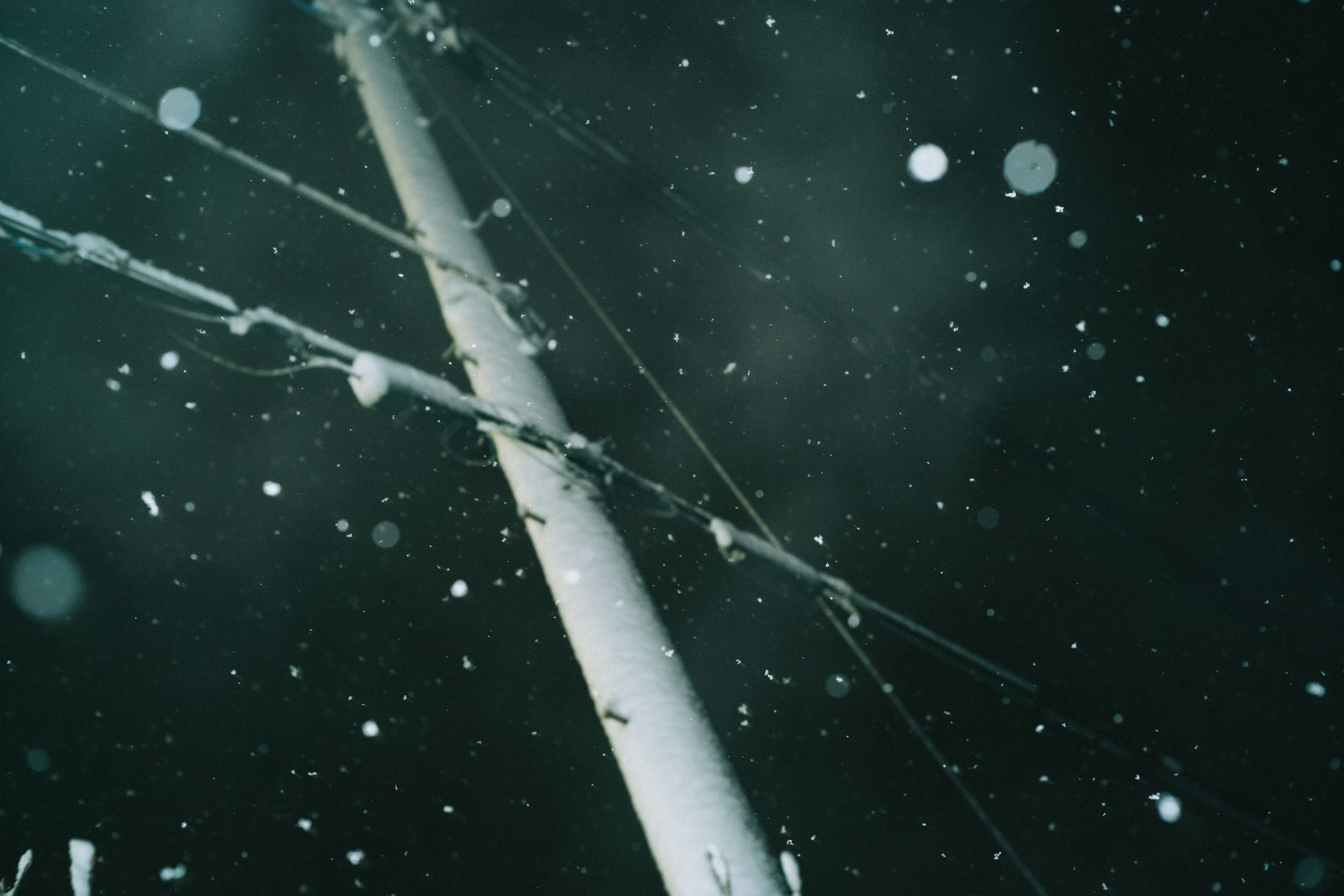 Photo of a utility pole and wires during a snowy night