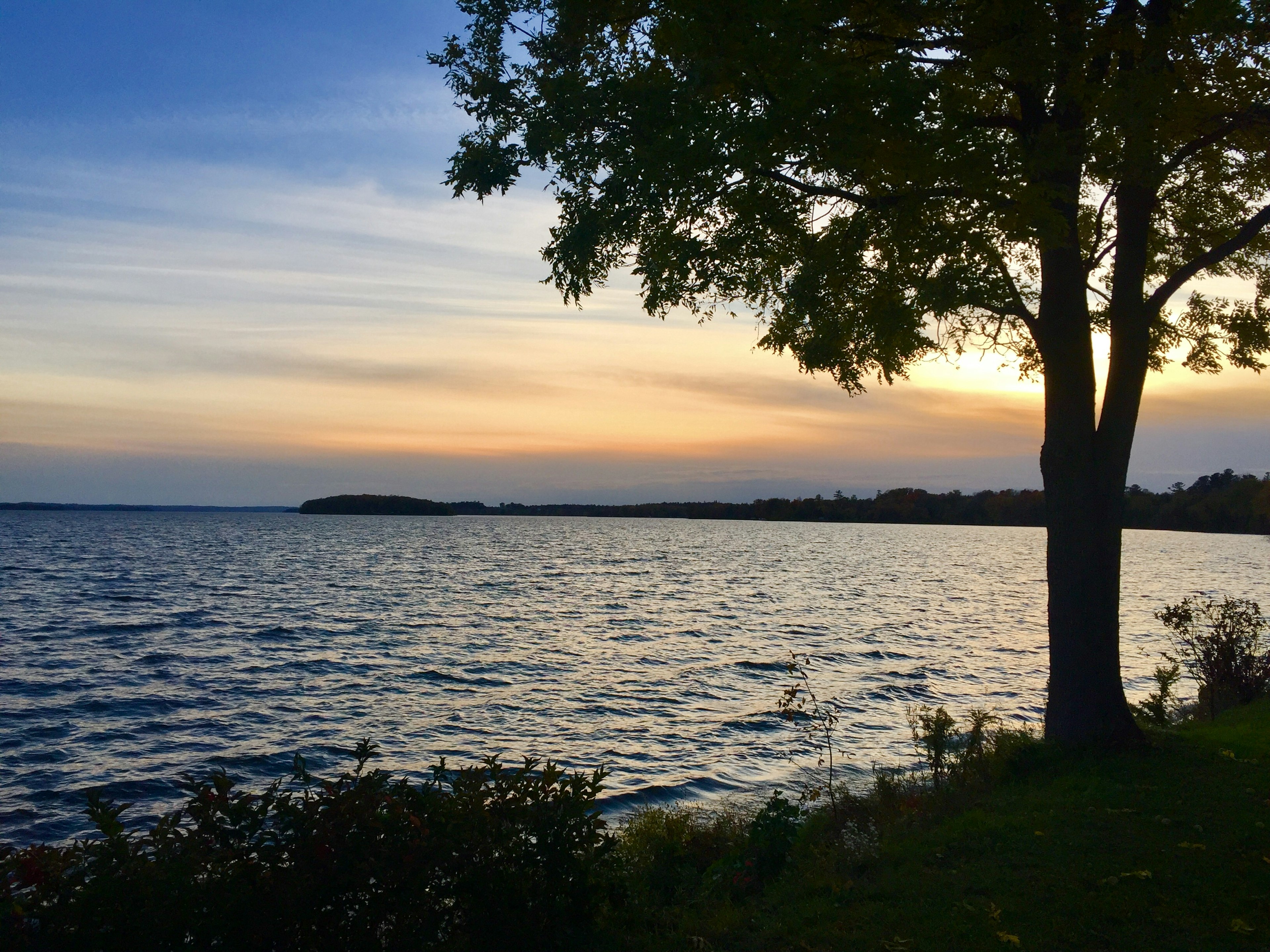 Vista serena junto al lago al atardecer con silueta de árbol