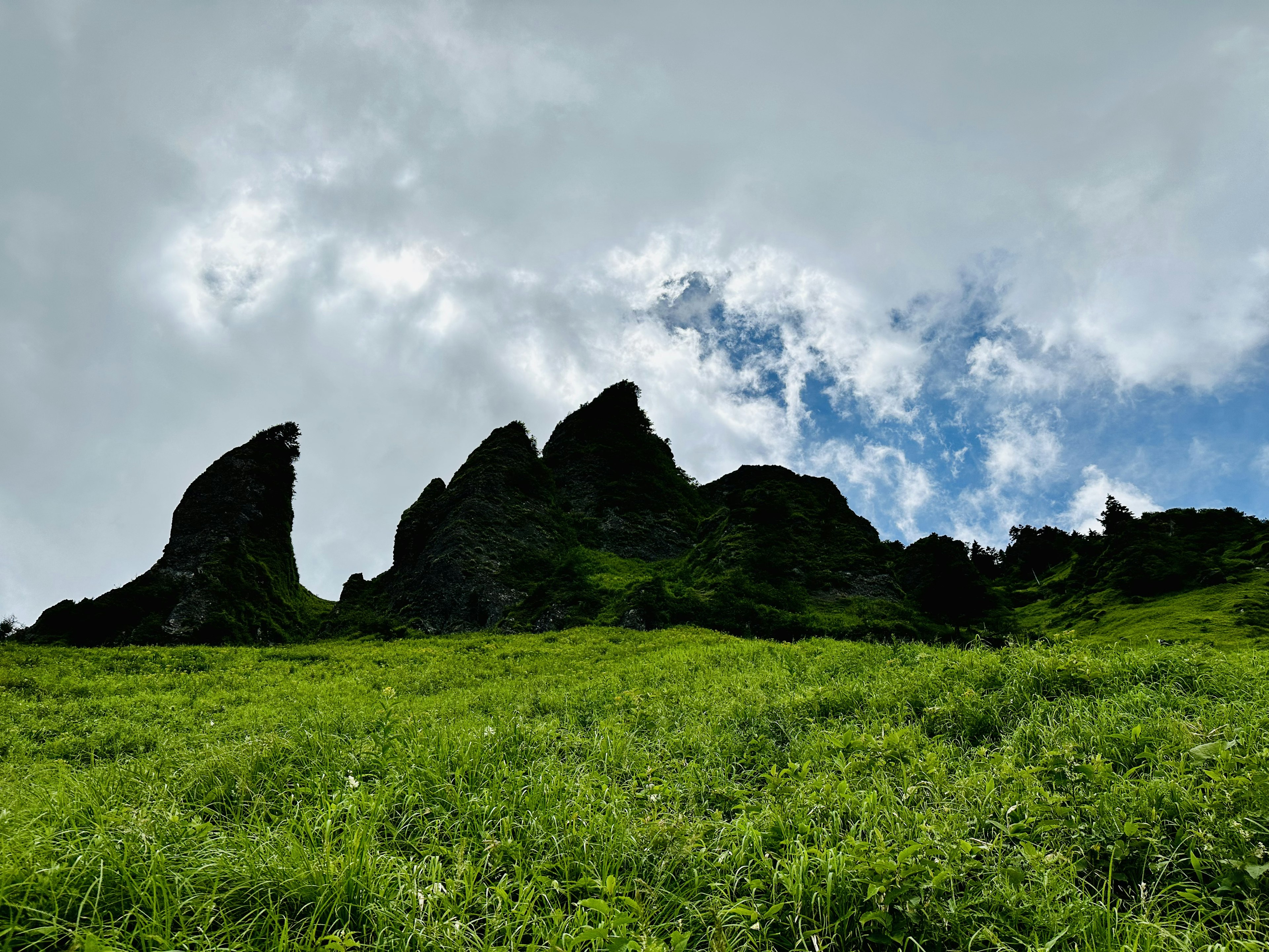 緑の草原と岩のシルエットが映える景色