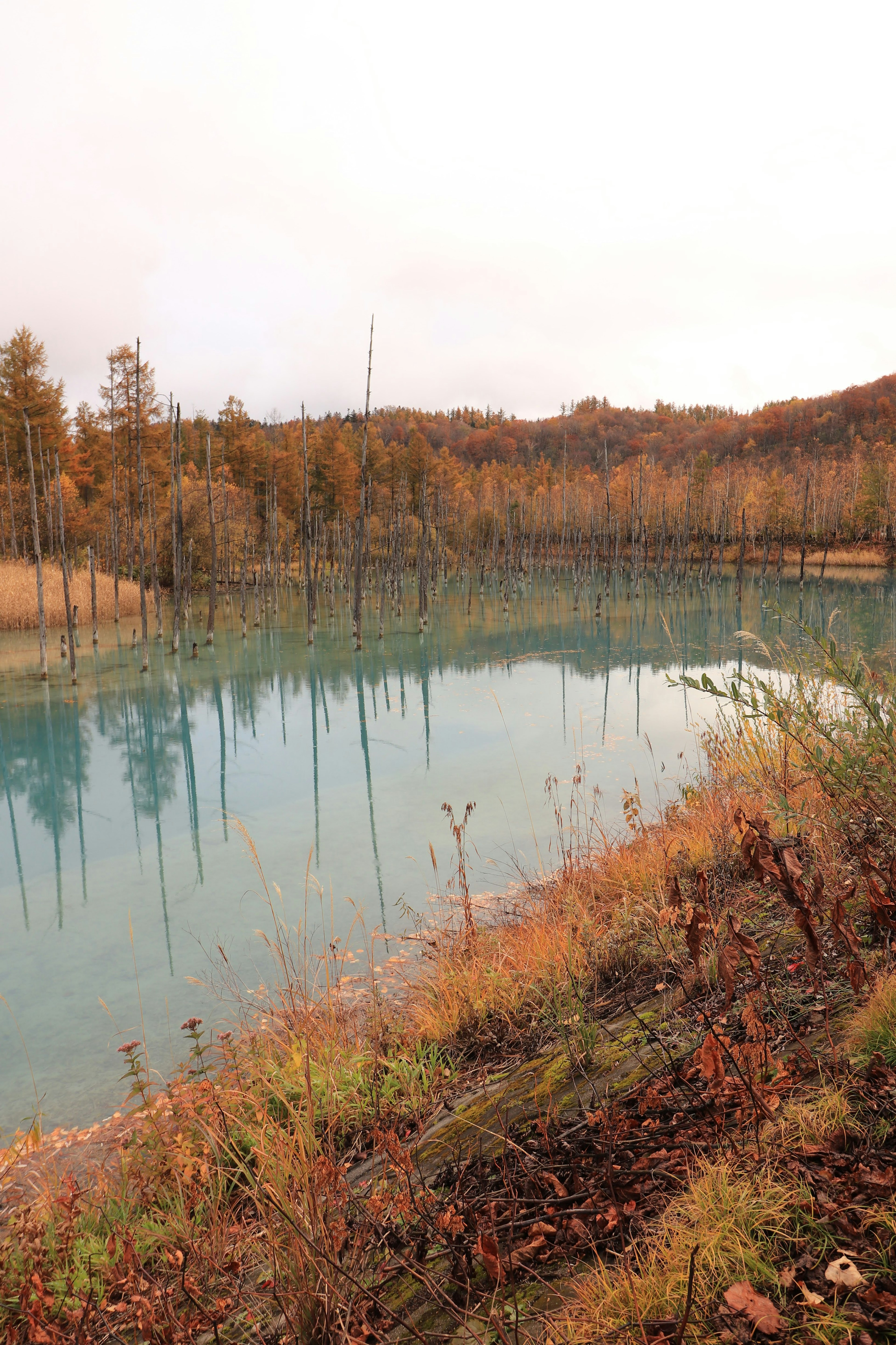 ทิวทัศน์ที่สวยงามของทะเลสาบสีฟ้าอมเขียวที่ล้อมรอบด้วยใบไม้ฤดูใบไม้ร่วง