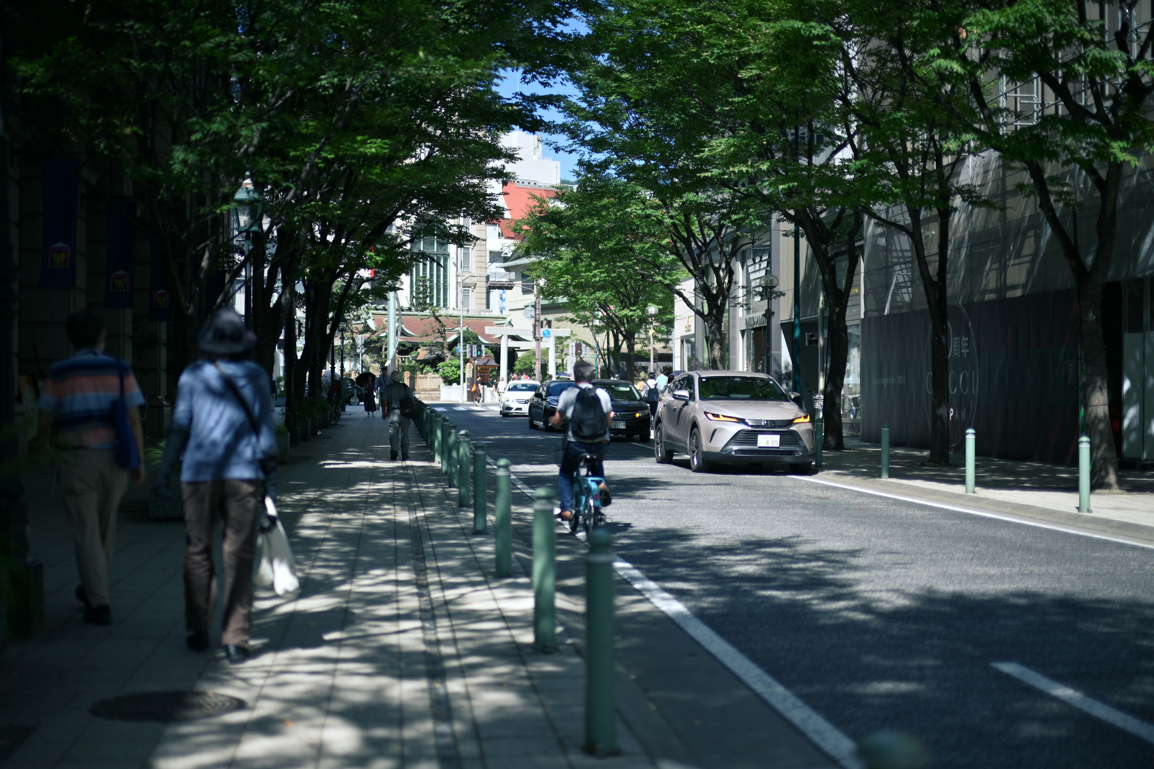 Rue urbaine bordée d'arbres verts avec des piétons et des vélos