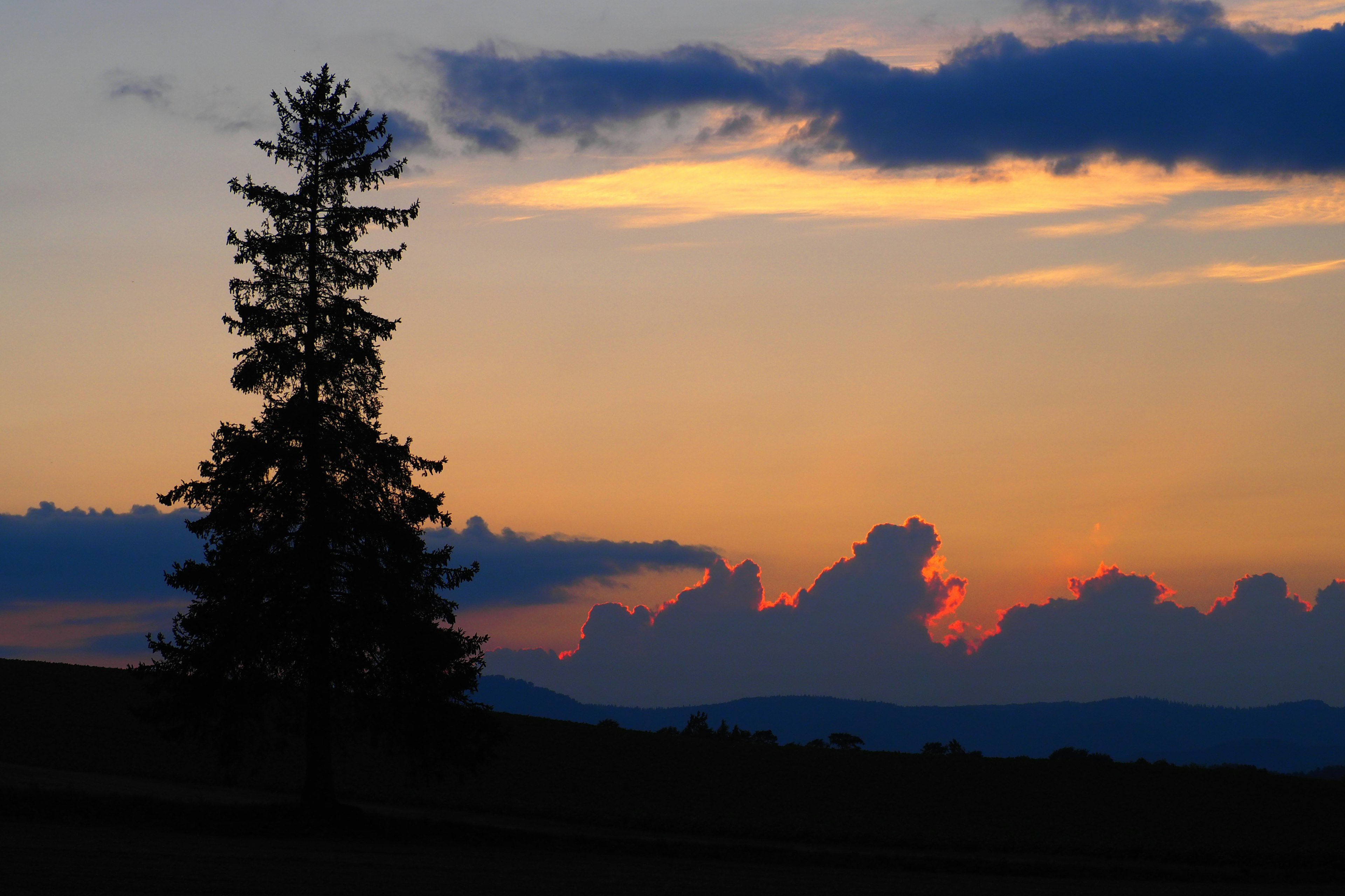 Landschaft mit einem silhouettierten Baum vor einem bunten Sonnenuntergang