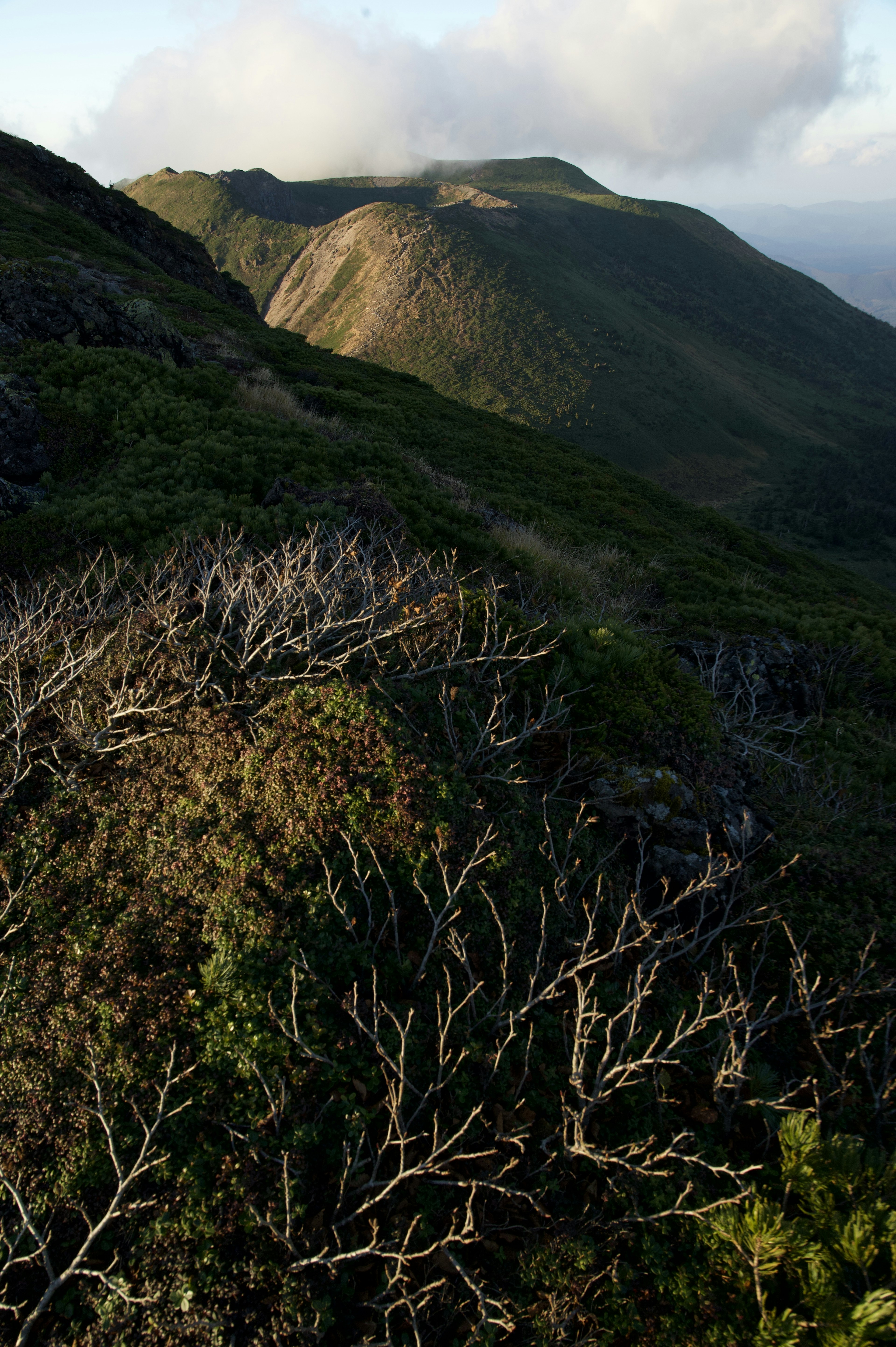 Berglandschaft mit kahlen Bäumen und Wolken am Himmel