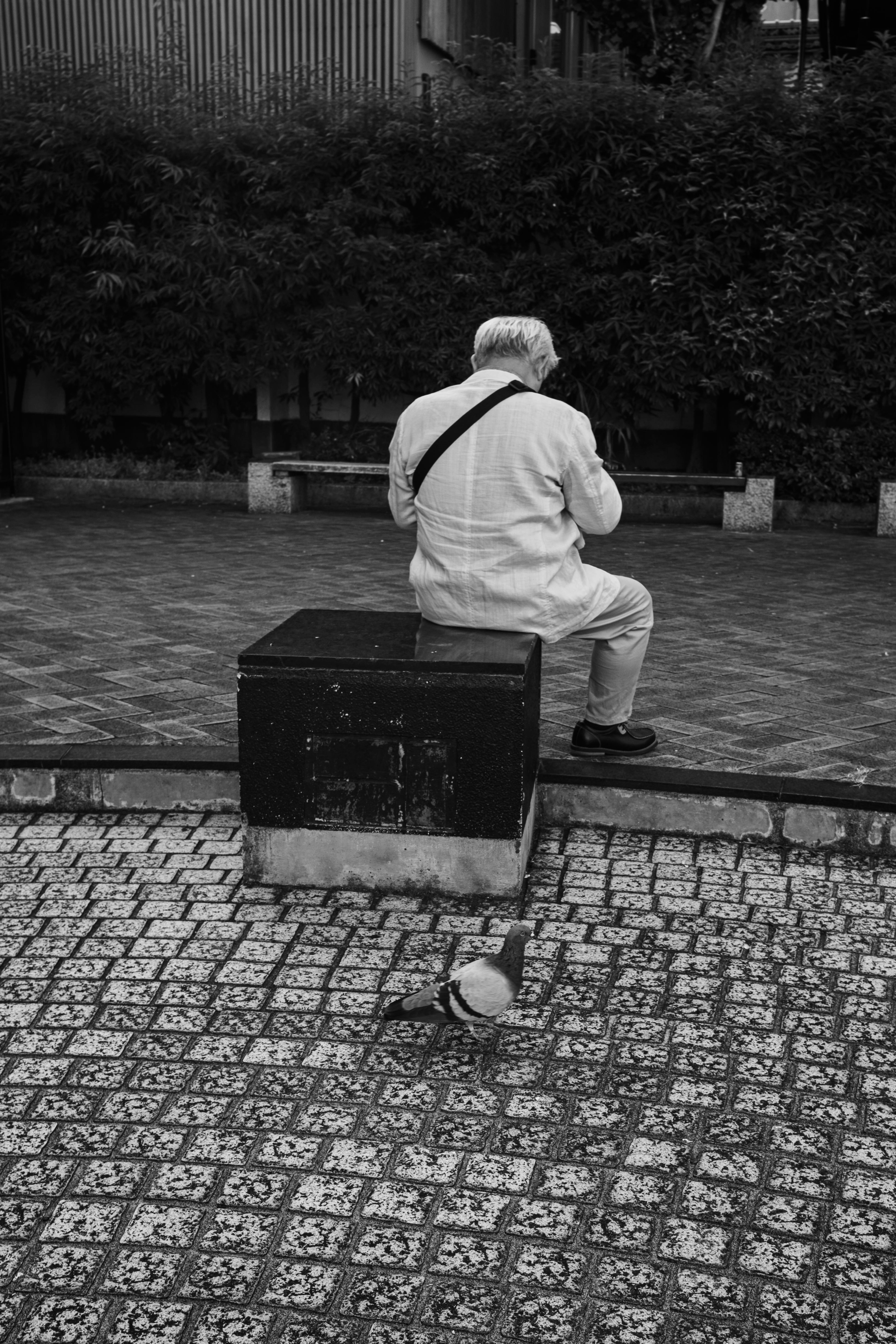 Man in white clothing sitting on a bench in a park with a pigeon in front