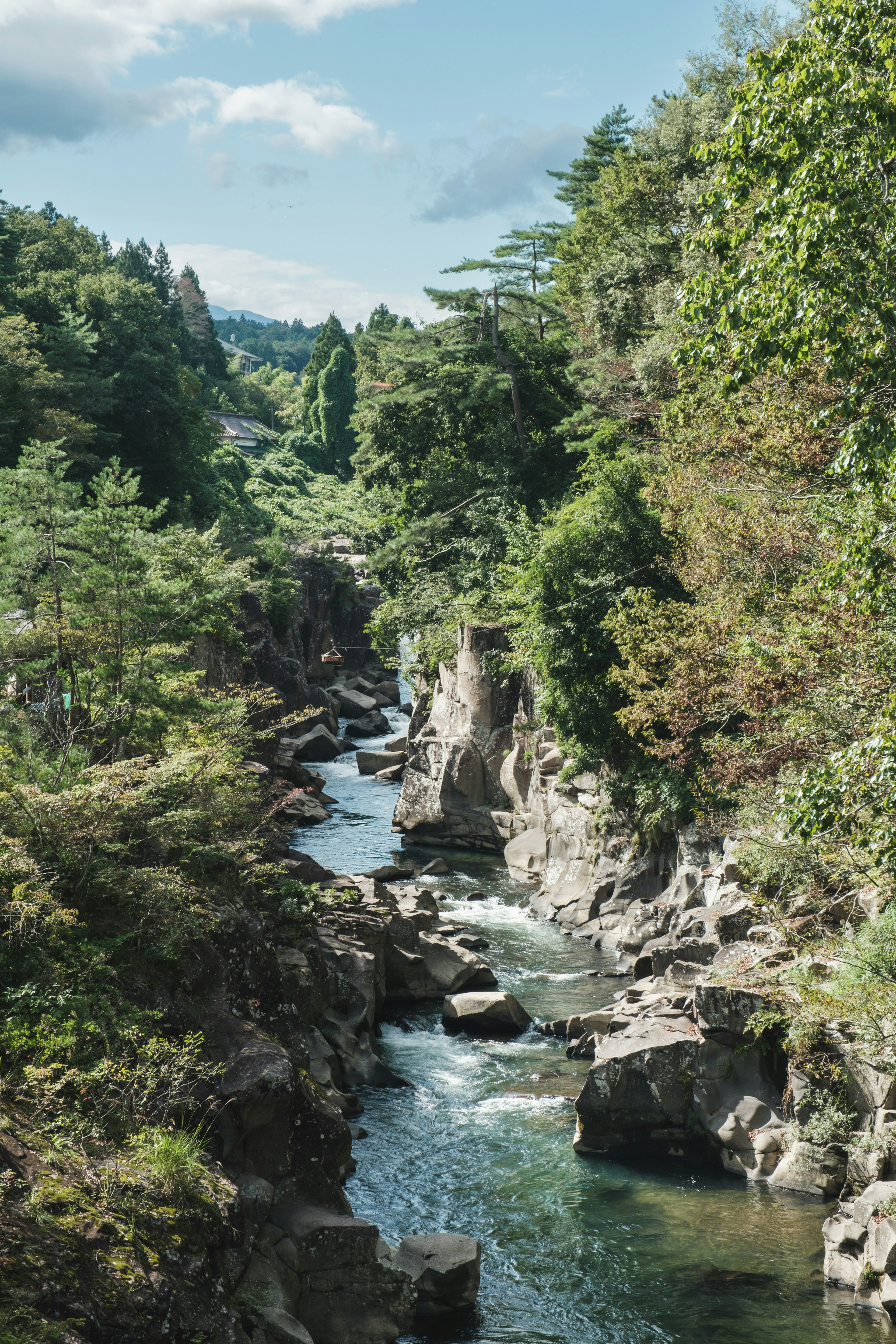 緑豊かな山間の川の風景で岩が点在し清流が流れる