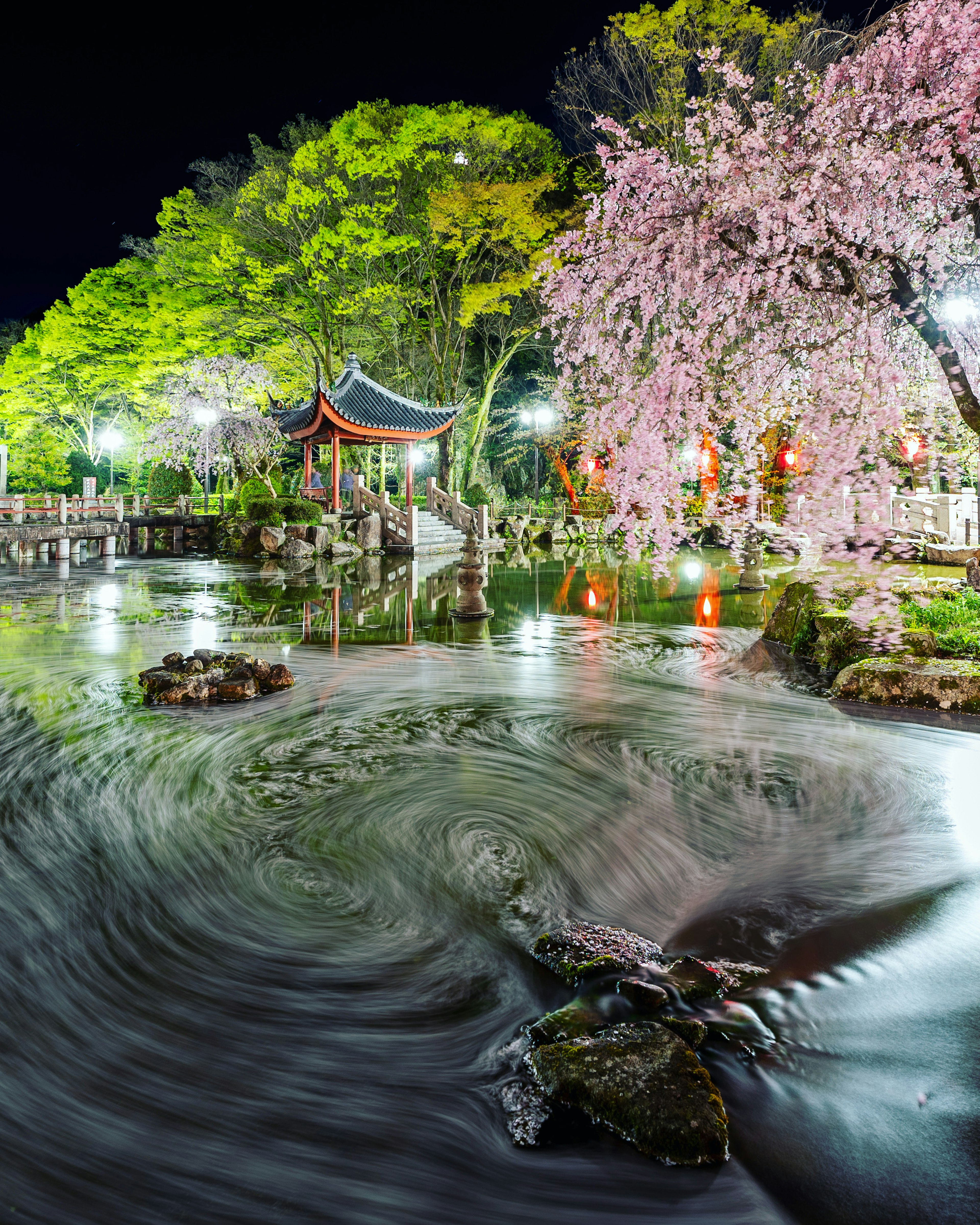 Nighttime scene of cherry blossoms and green trees in a serene park with flowing water