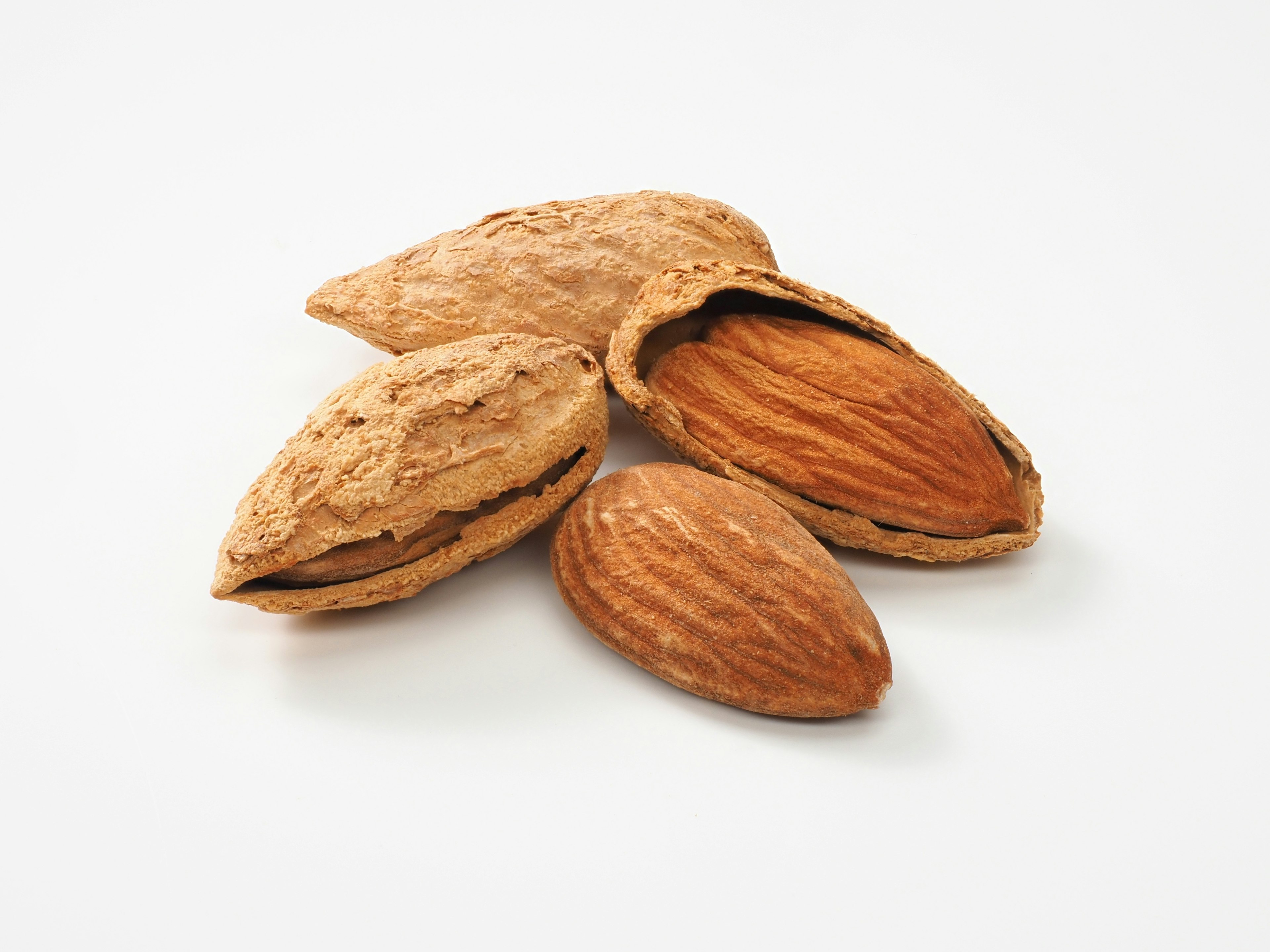 Photo of almonds with shells and nuts visible