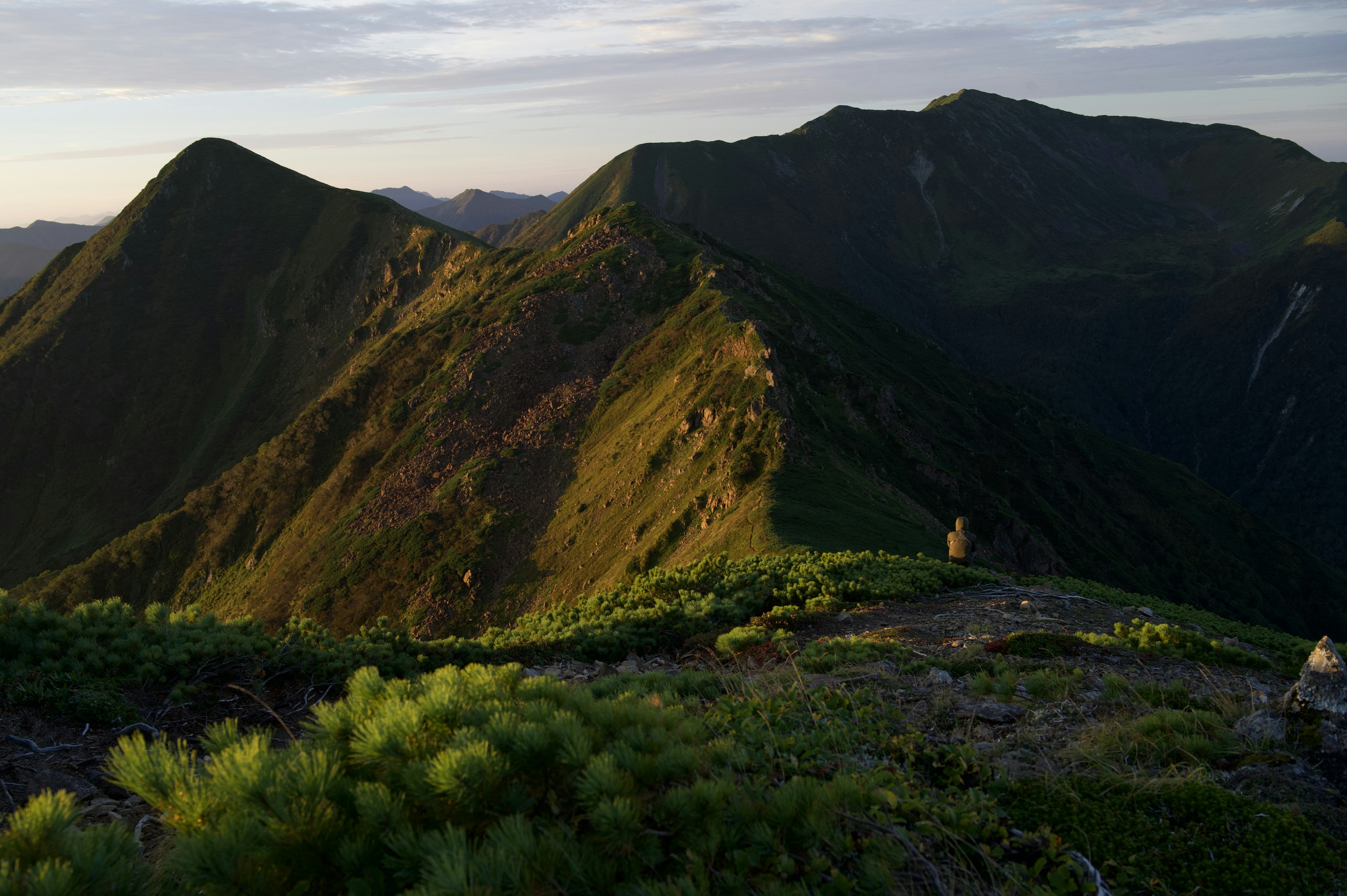 Chaîne de montagnes verdoyante illuminée par la lumière du coucher de soleil