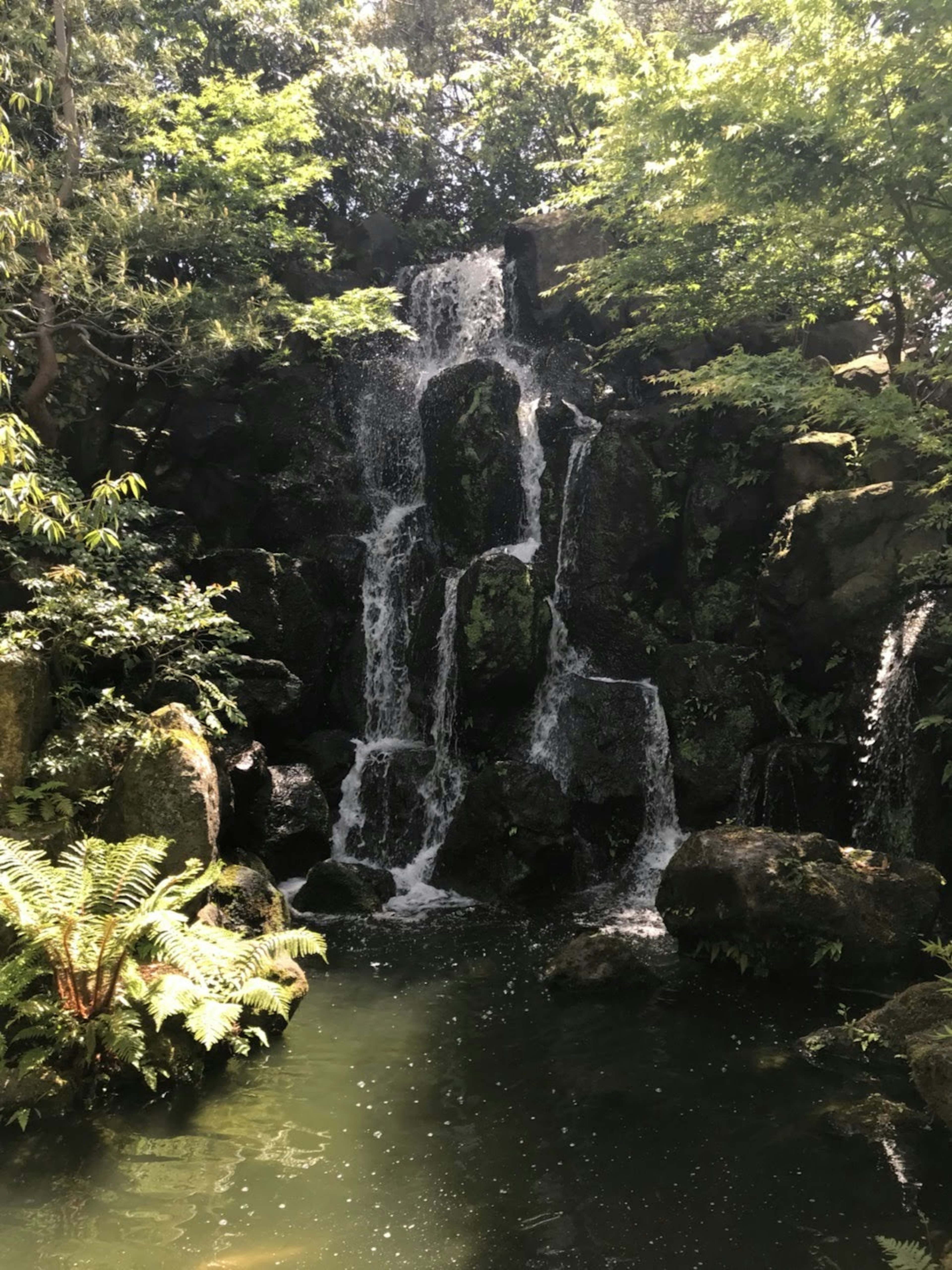 Ein ruhiger Wasserfall, der in einen friedlichen Teich fällt, umgeben von üppigem Grün