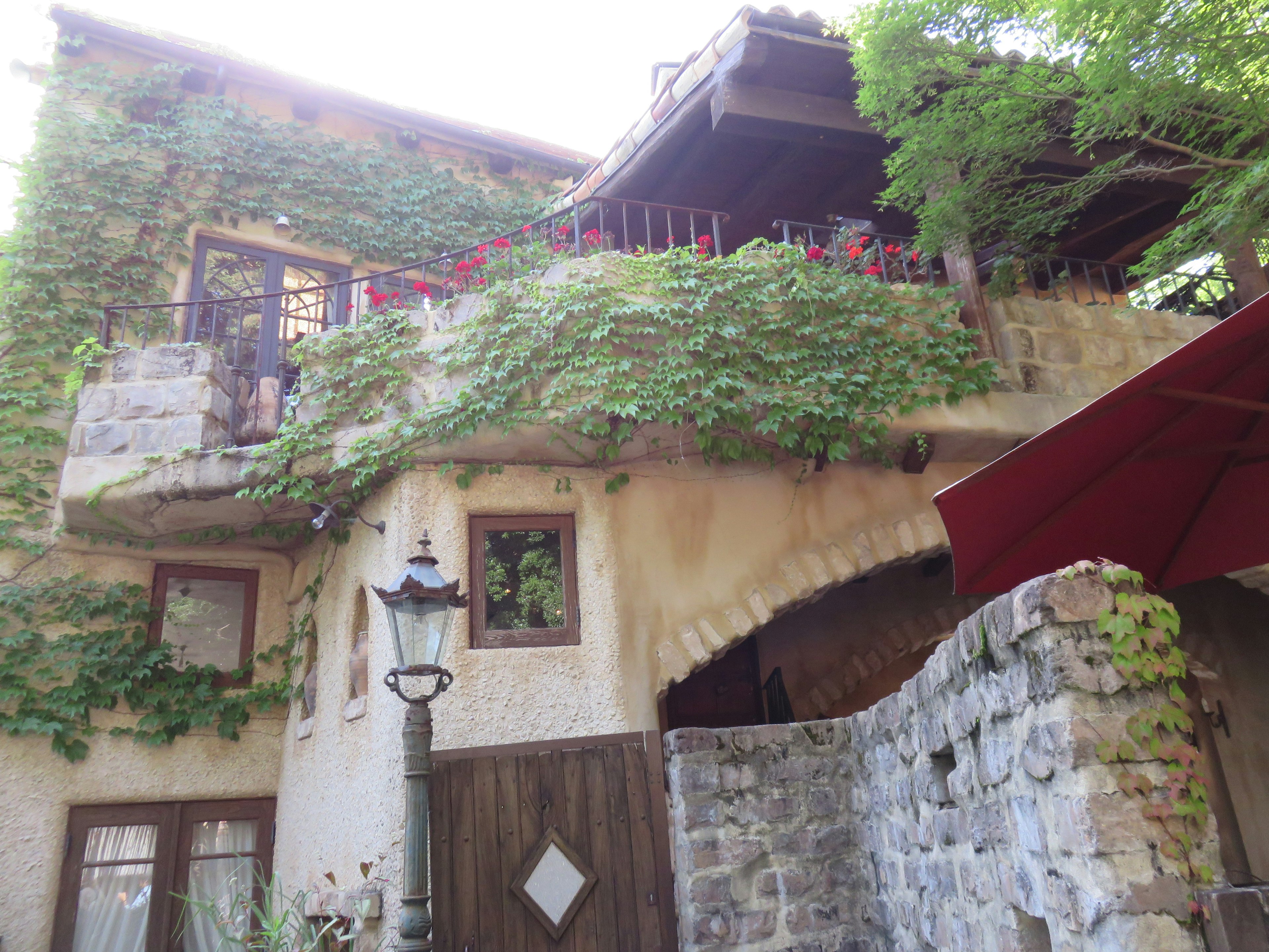 Charming house exterior covered in green ivy featuring a lamppost and wooden door