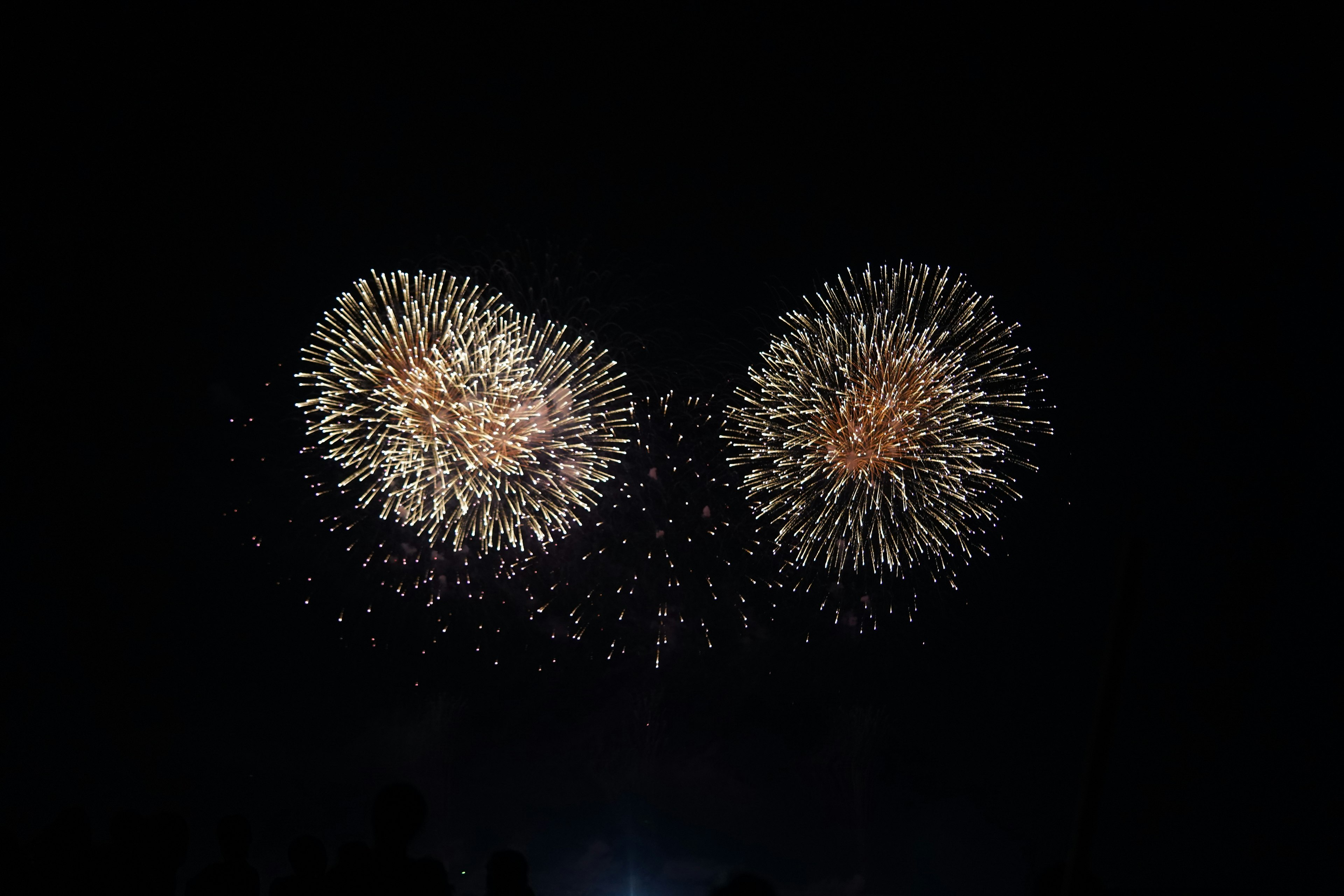 Dos grandes fuegos artificiales floreciendo simétricamente en el cielo nocturno