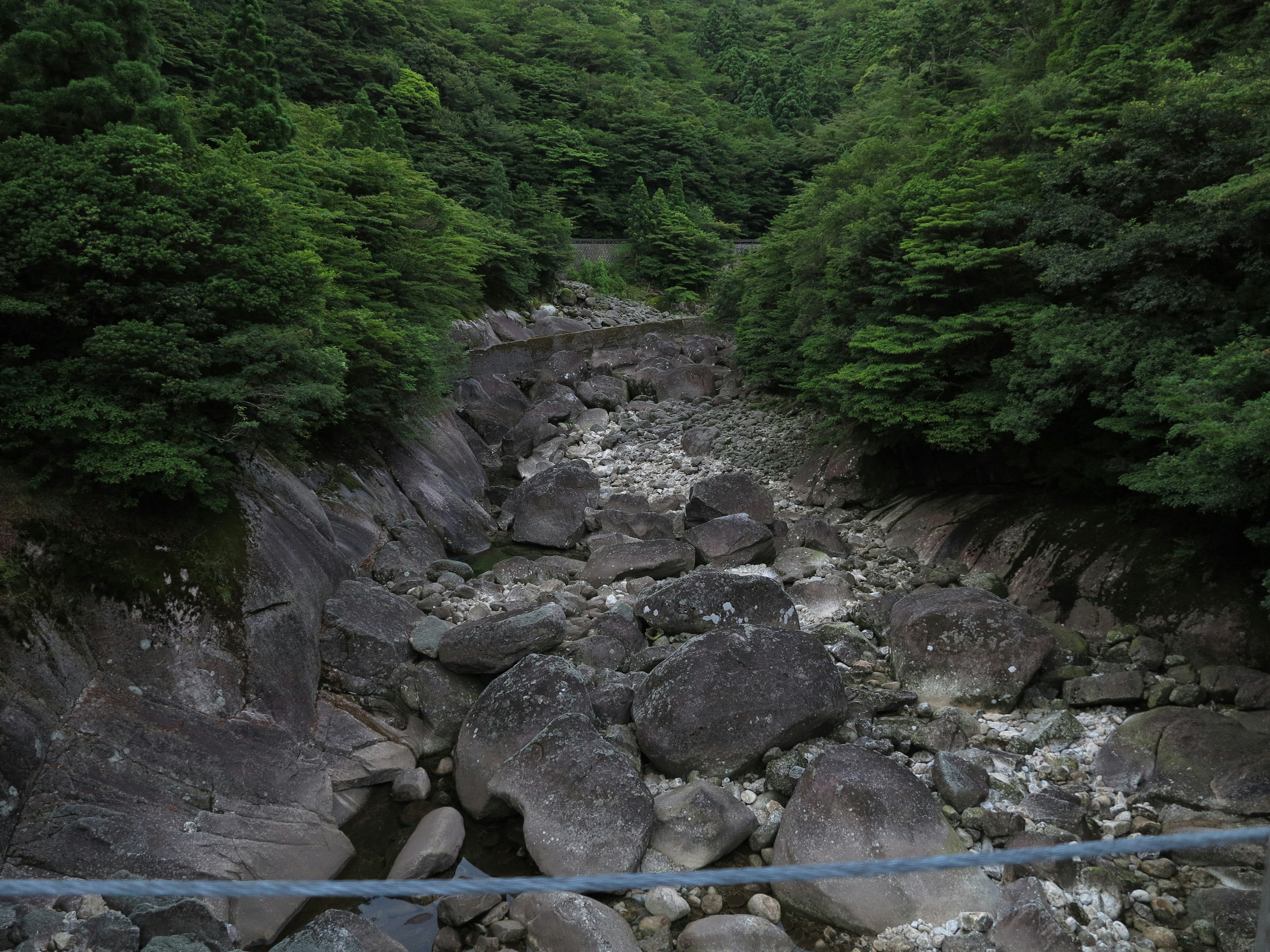 Rocky riverbed surrounded by lush green trees