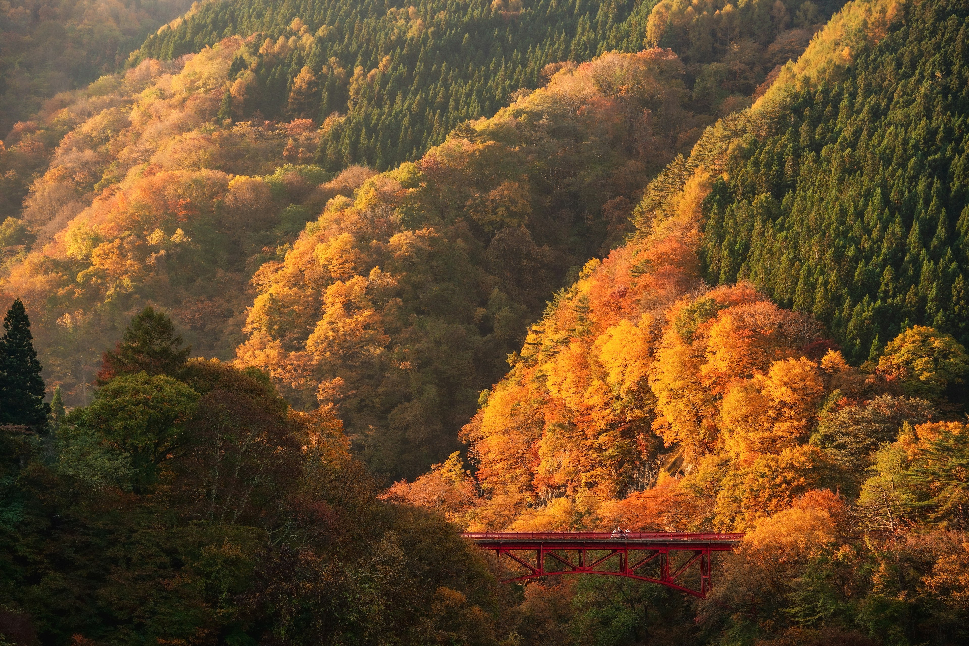 Vibrant autumn foliage covering mountains with a red bridge