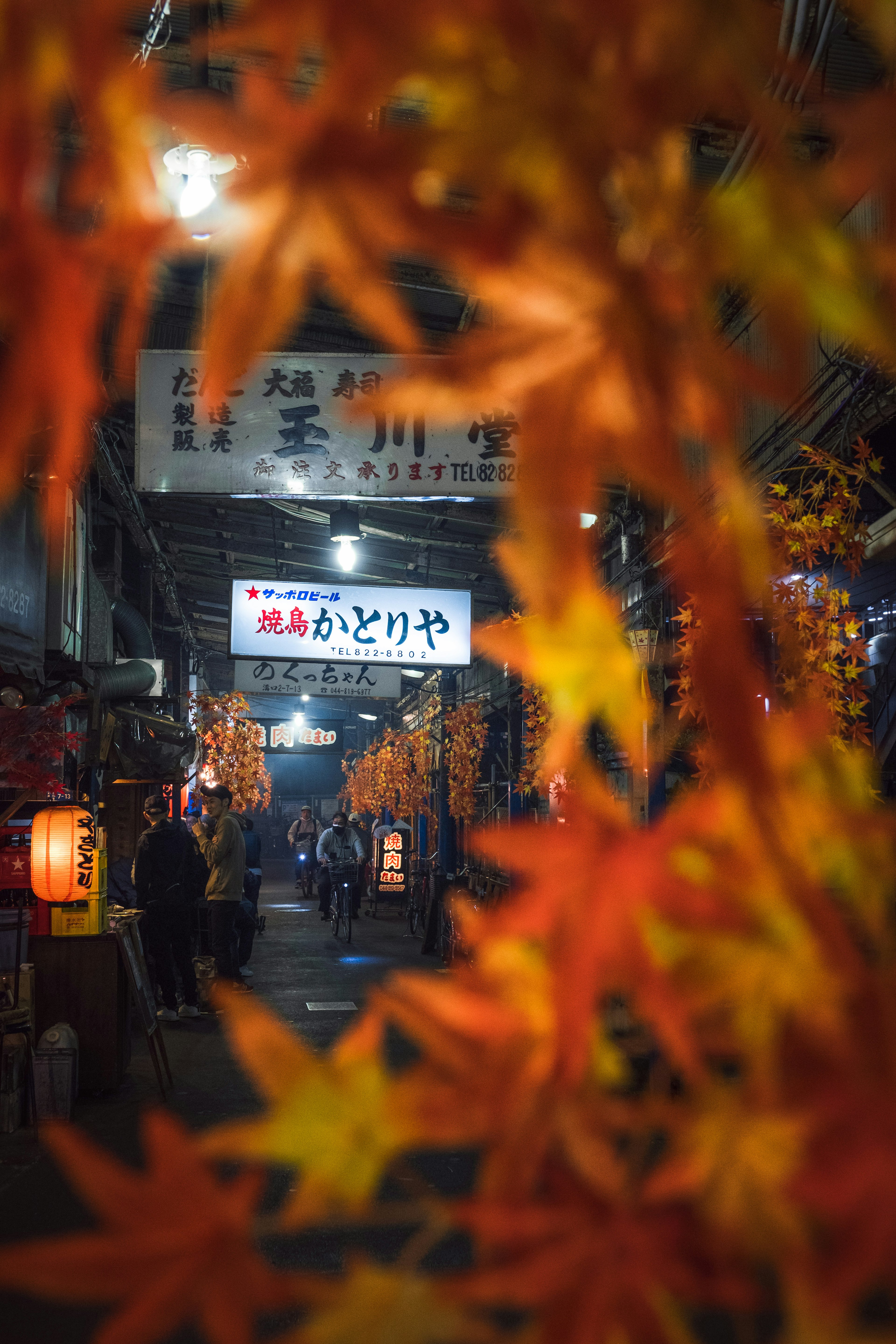 秋の紅葉が飾られた夜の市場の通りに人々が集まっている