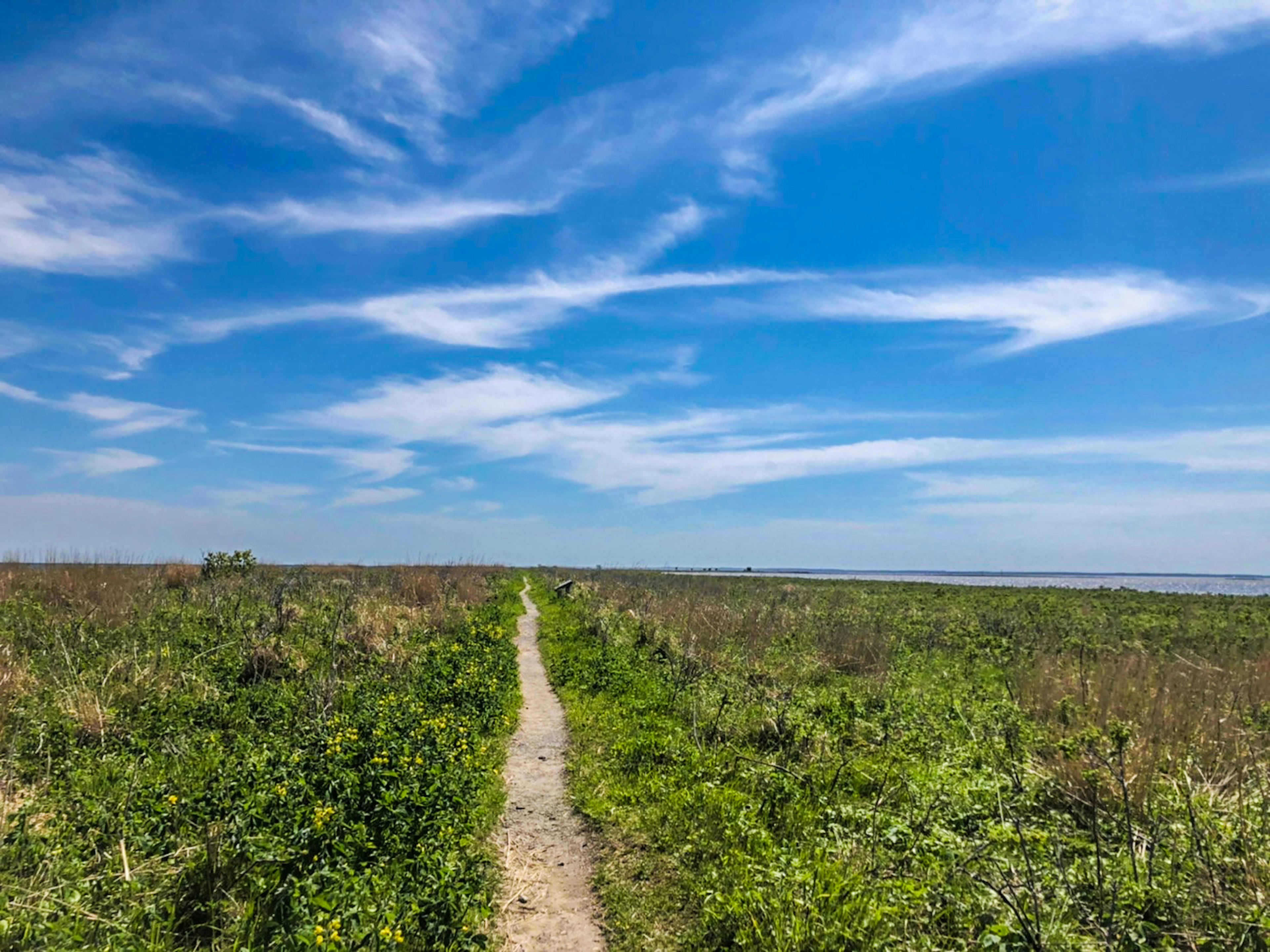 Ein schmaler Weg durch eine grüne Landschaft unter einem blauen Himmel