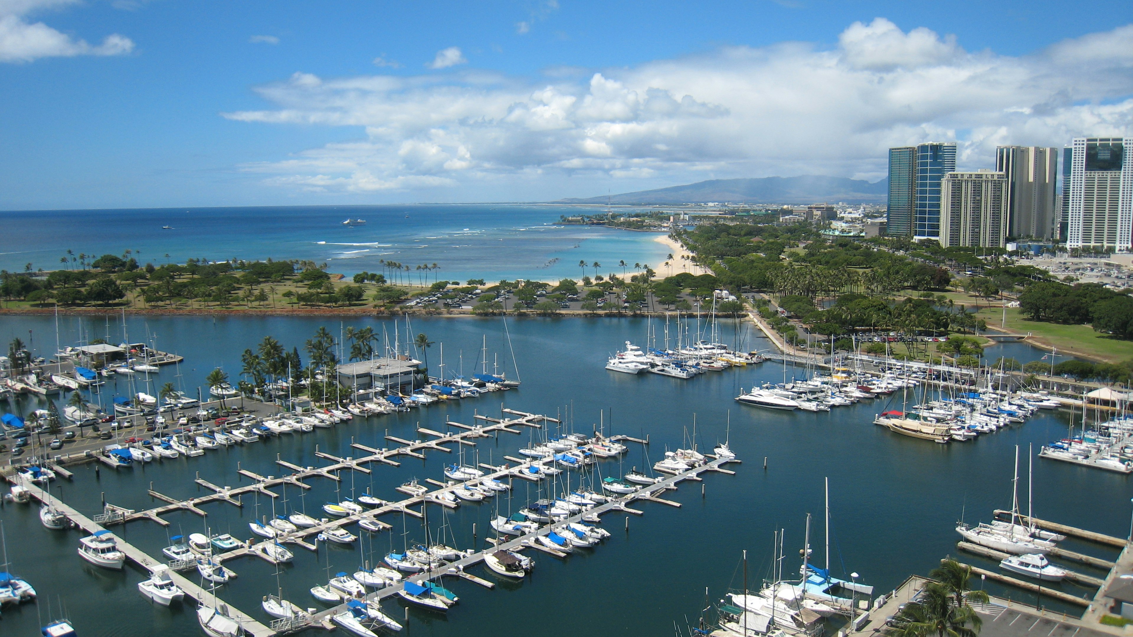 Vista di un porto con acqua blu e yacht bianchi circondati da paesaggi verdi e grattacieli