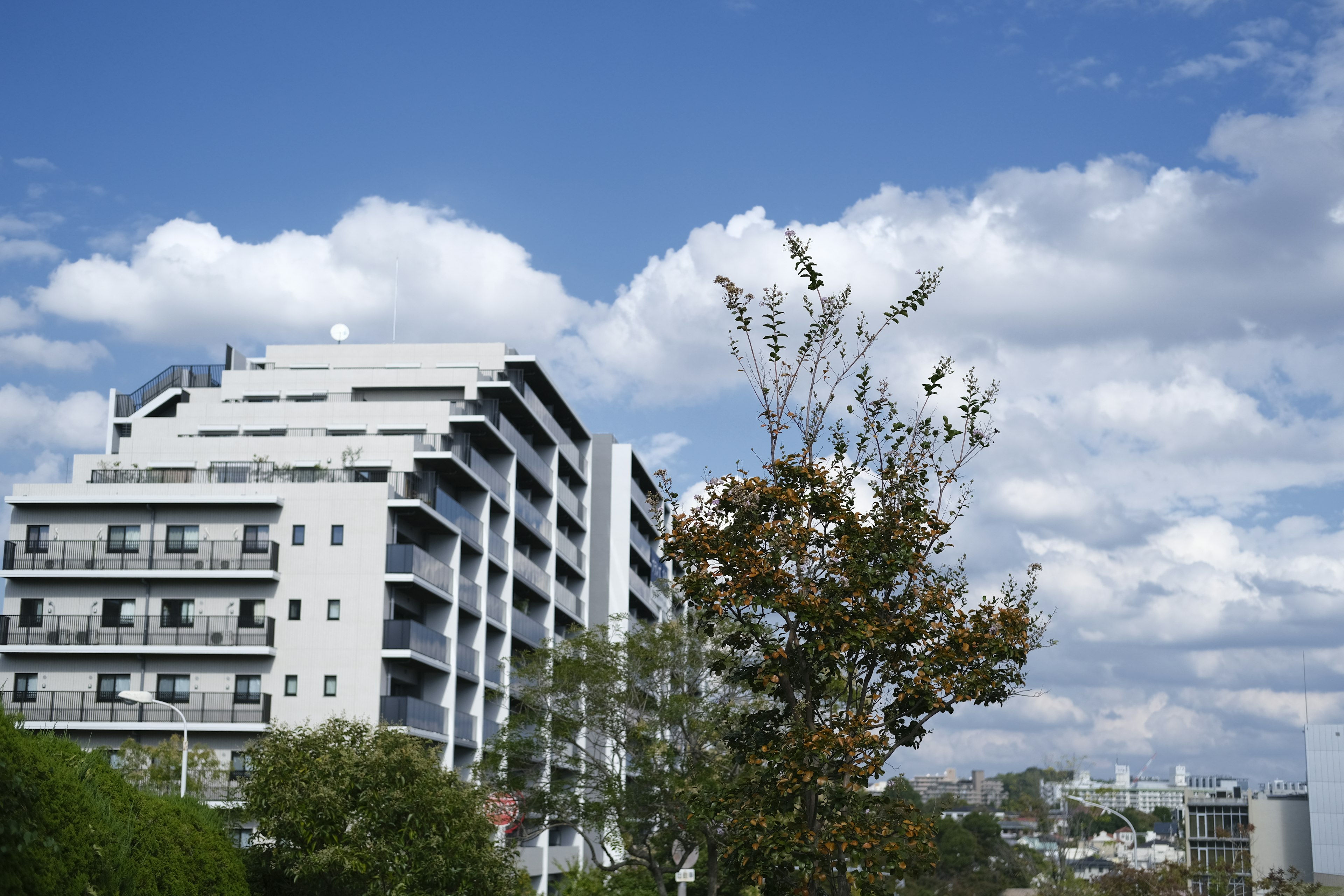 Edificio moderno bajo un cielo azul con nubes y árboles