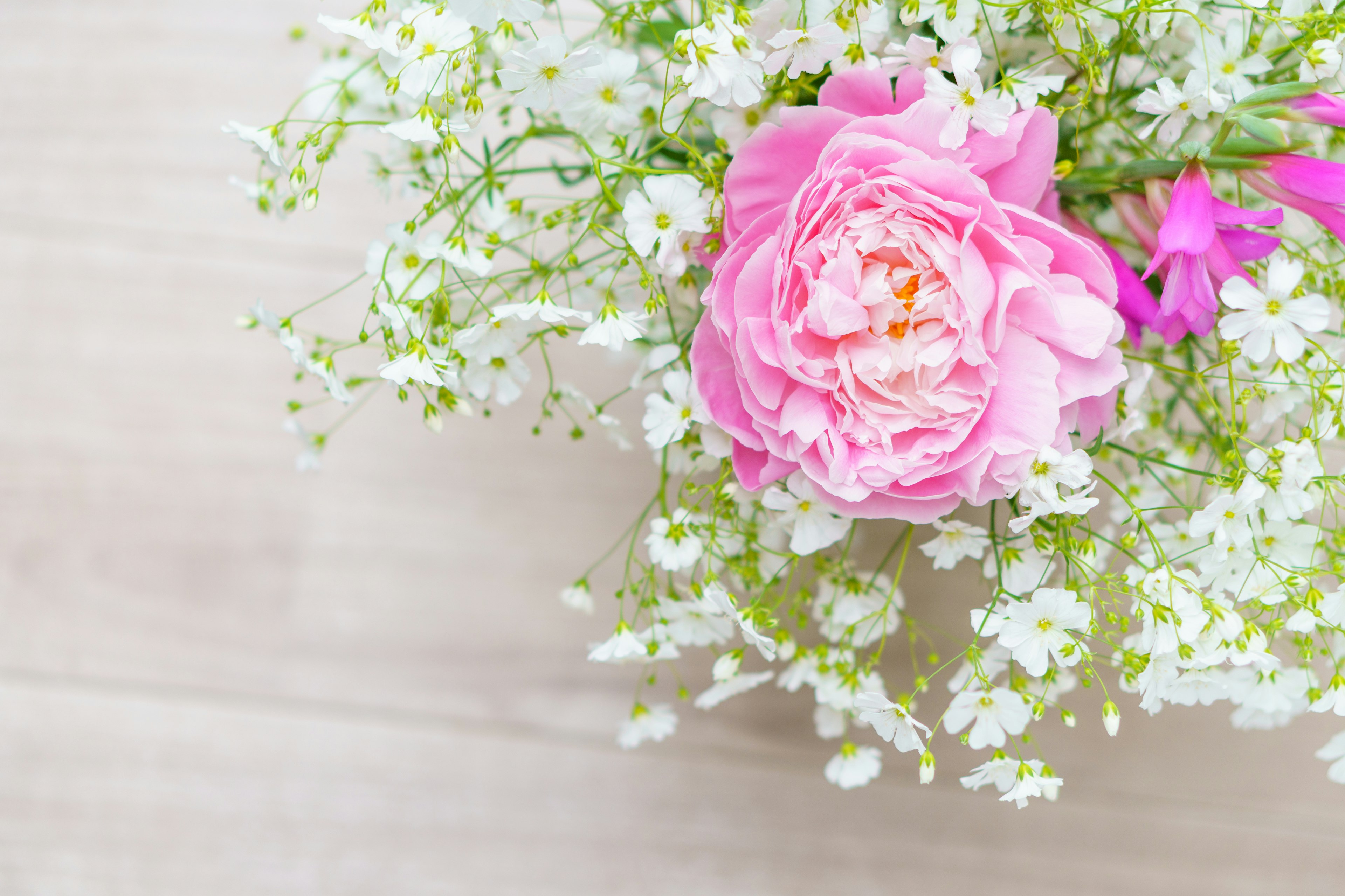 Bouquet featuring a soft pink rose and white baby’s breath flowers