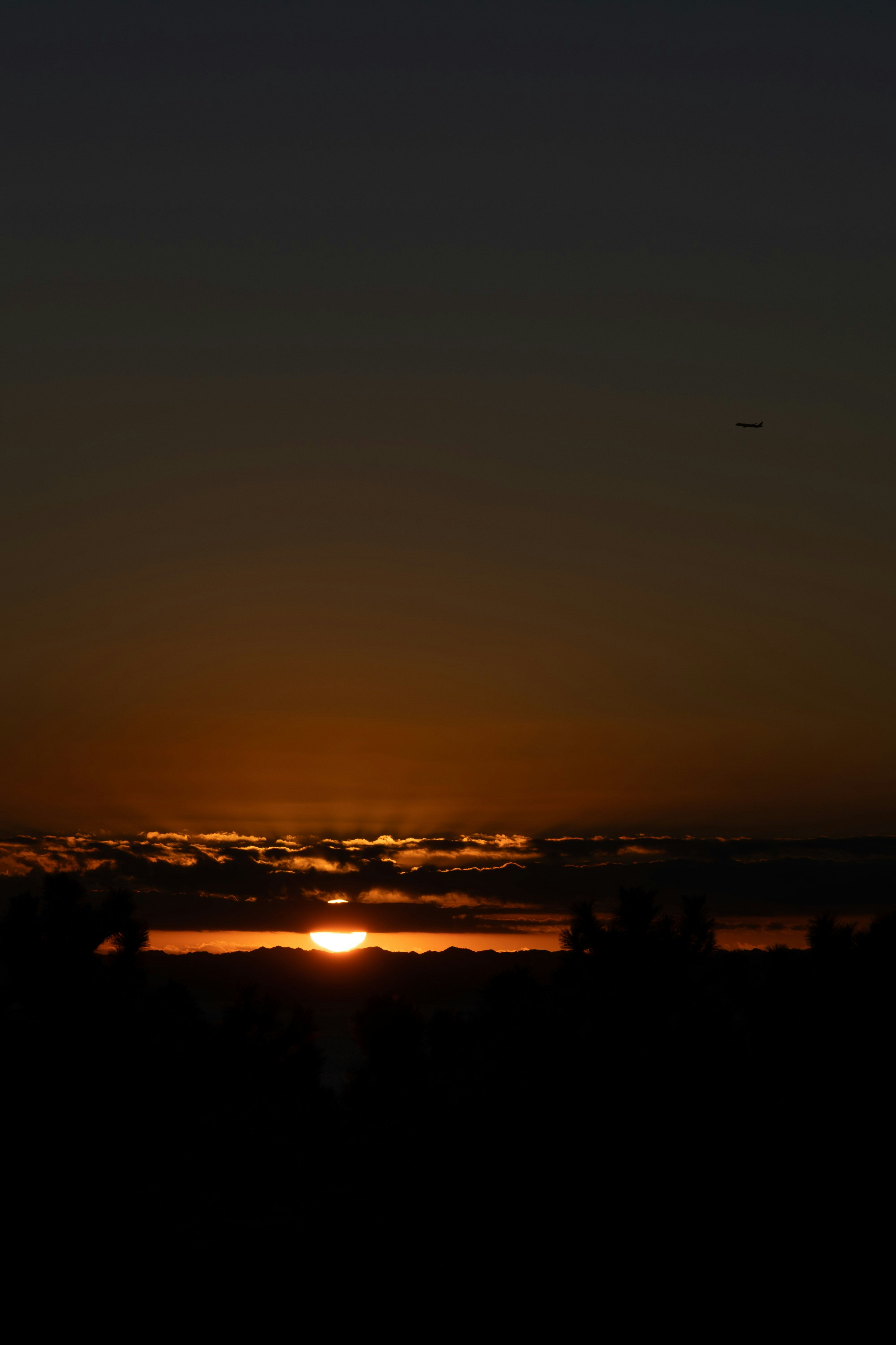 夕日が沈む美しい風景 黒いシルエットの木々とオレンジ色の空