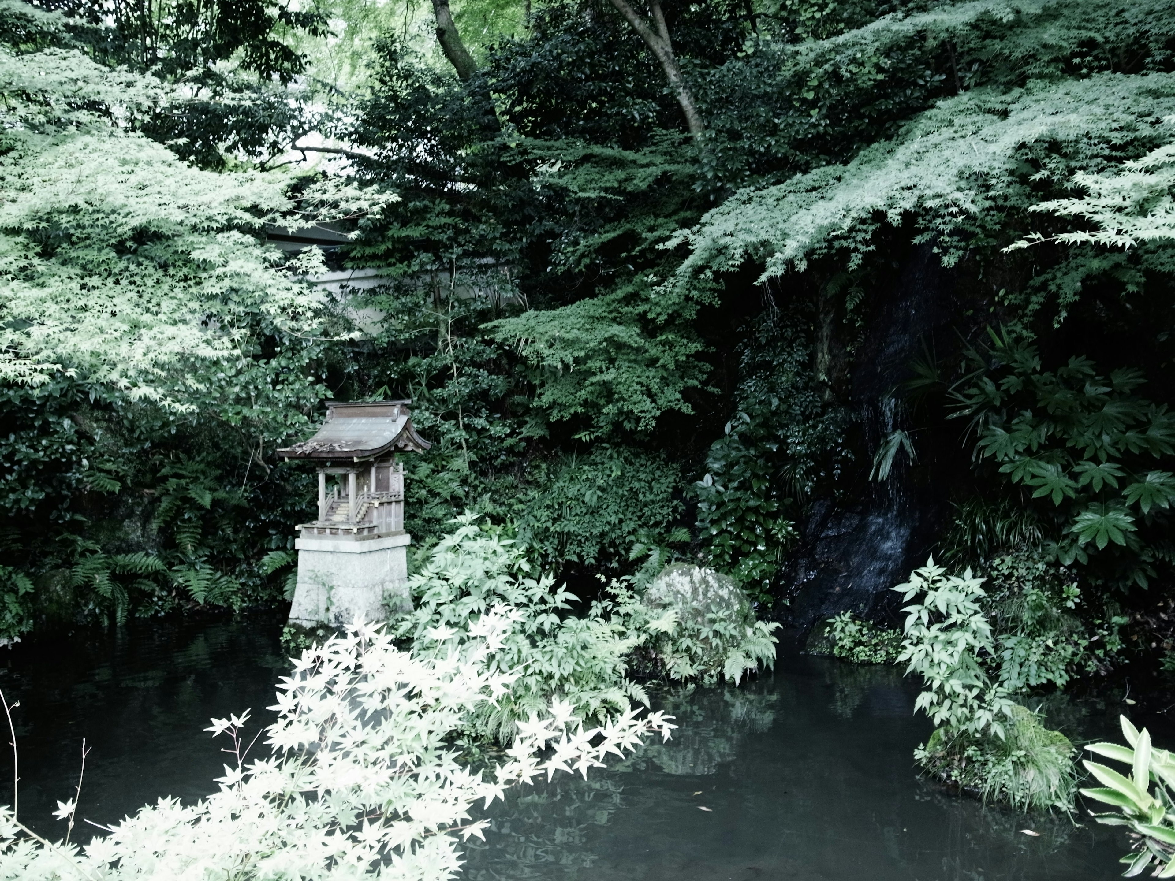 寧靜池塘旁的小神社被郁郁蔥蔥的綠樹環繞